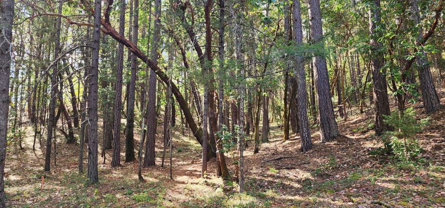 1.84 Acres off the beaten path. Woodland resources with forest dwelling approval. Buyer to do their own due diligence as to uses.