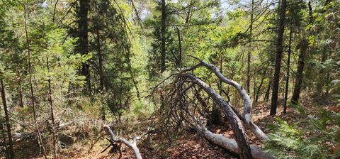 Tiny photo for Pinecrest Drive, Grants Pass, OR 97526 (MLS # 220210247)