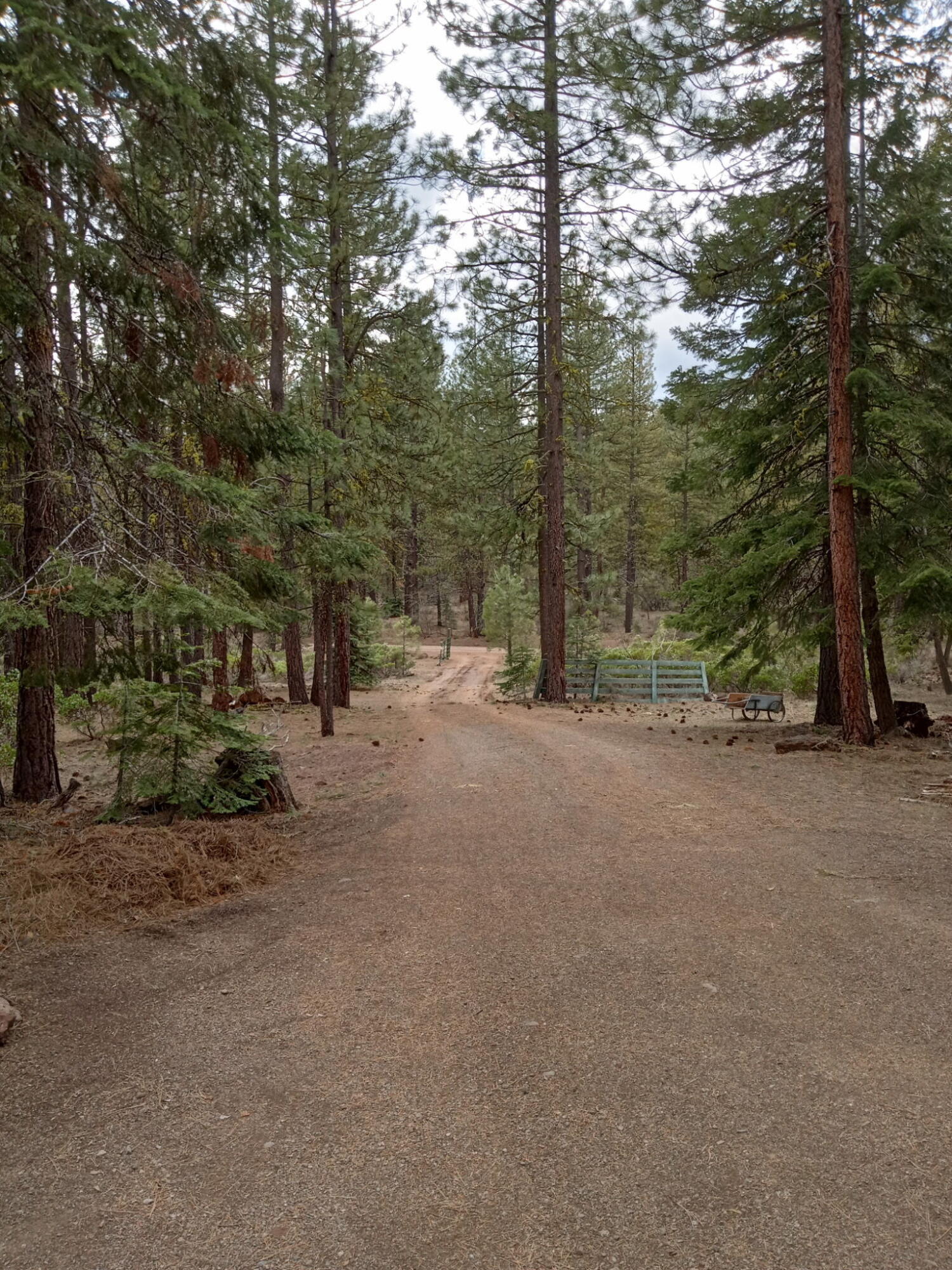 Klamath Forest Estates - Residential