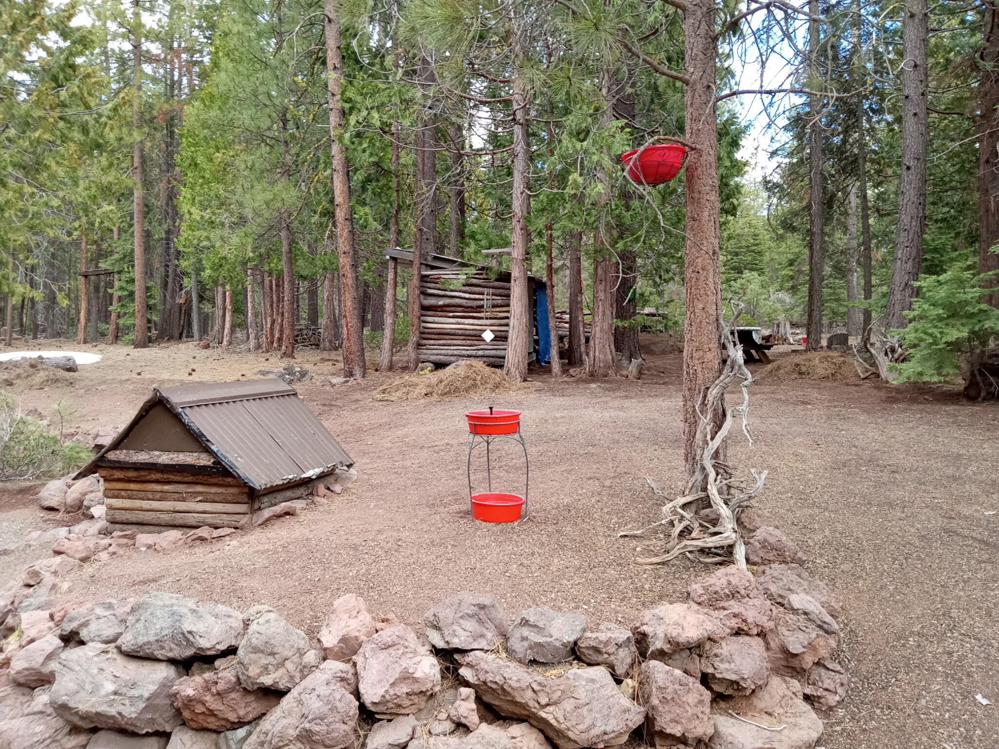 Klamath Forest Estates - Residential