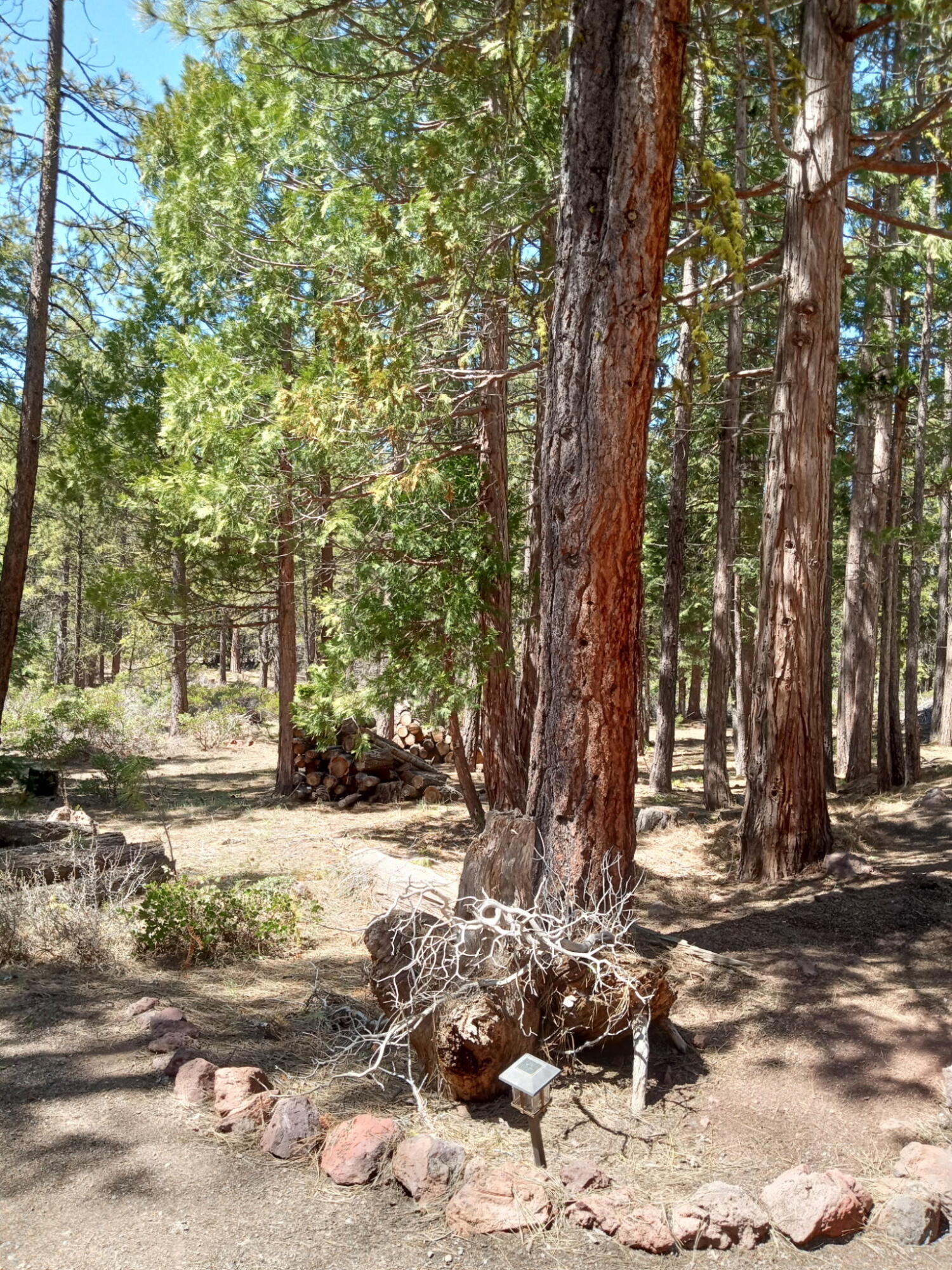 Klamath Forest Estates - Residential