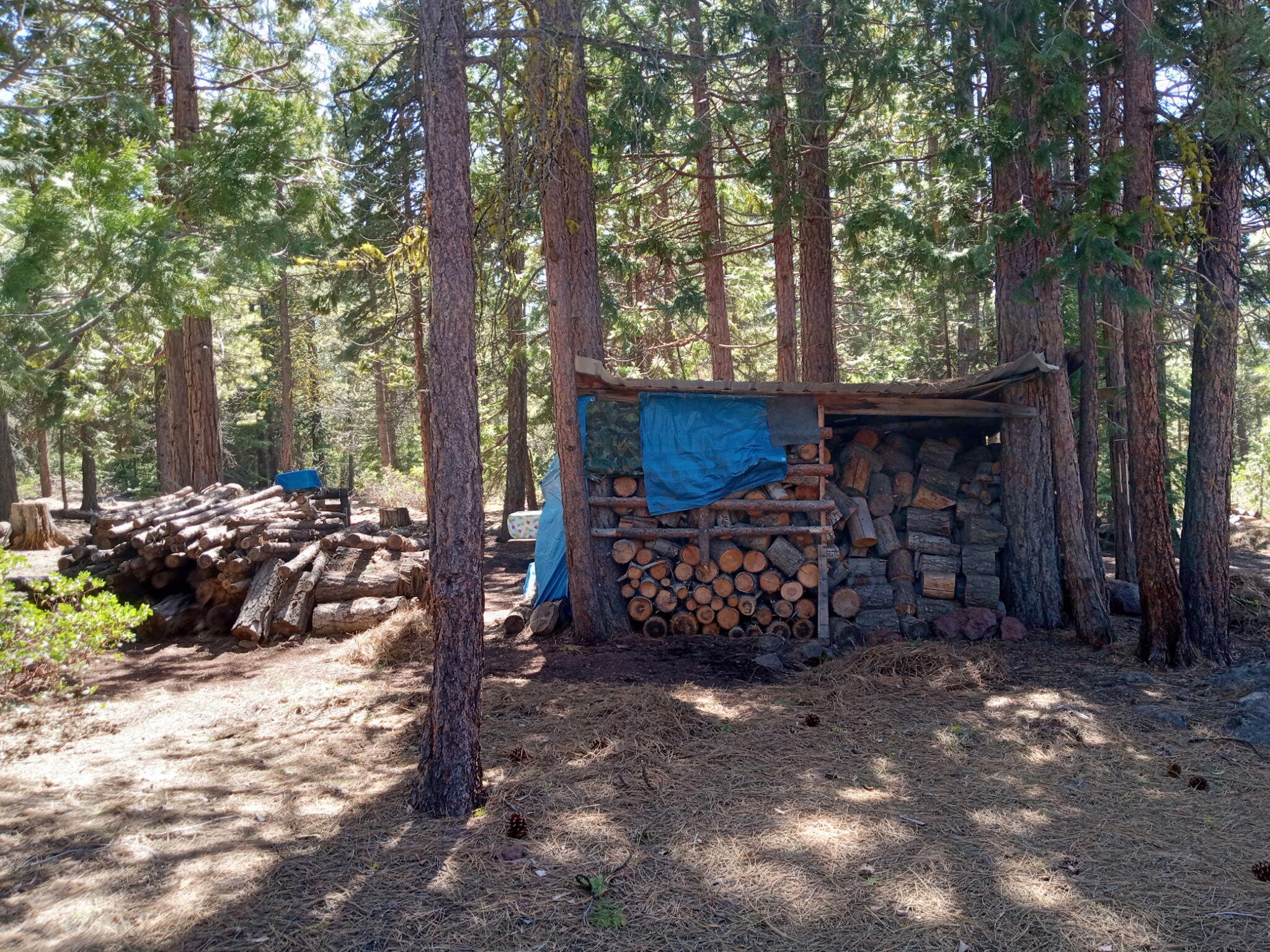 Klamath Forest Estates - Residential