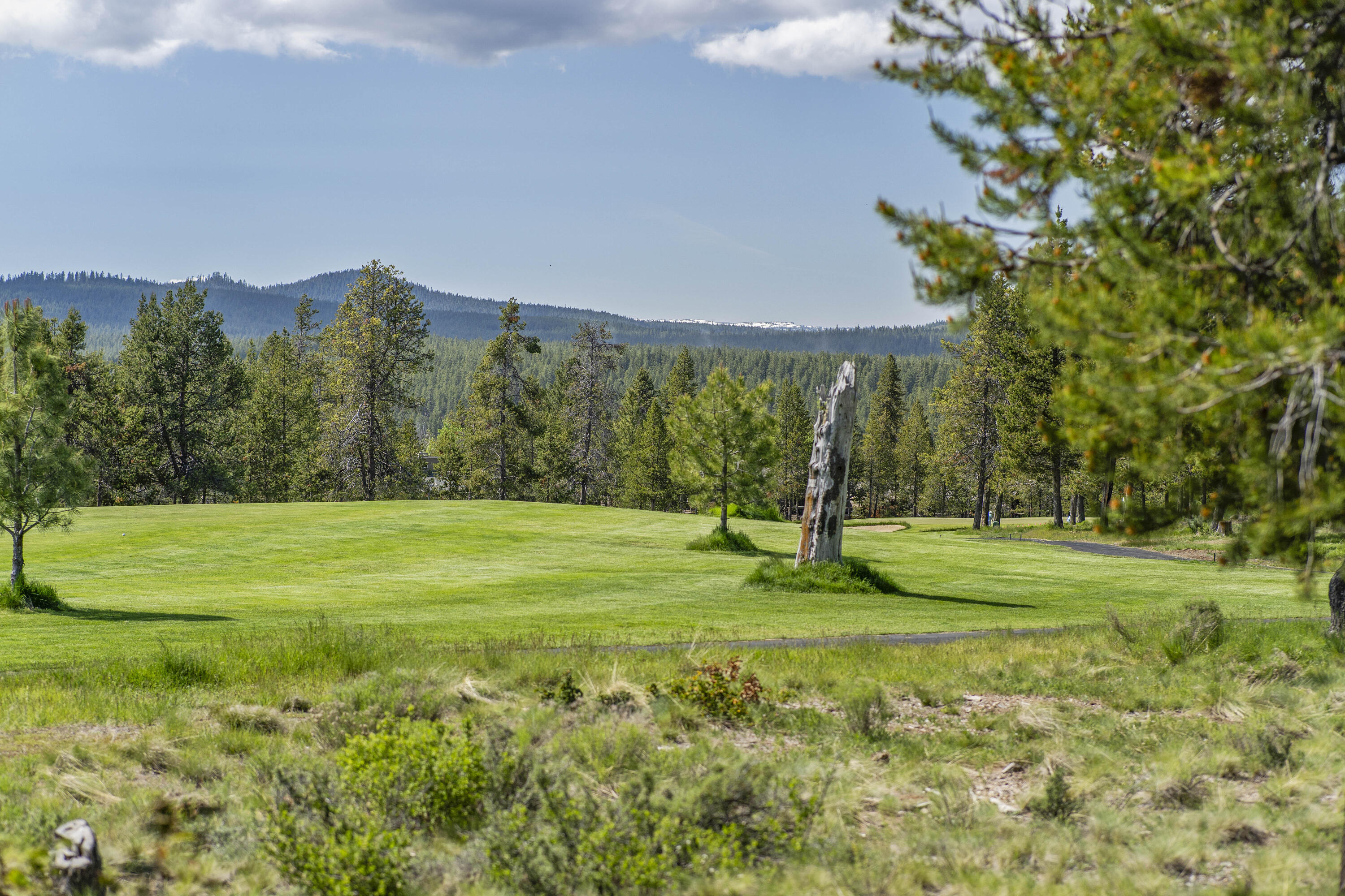 Fairway Crest Village - Residential