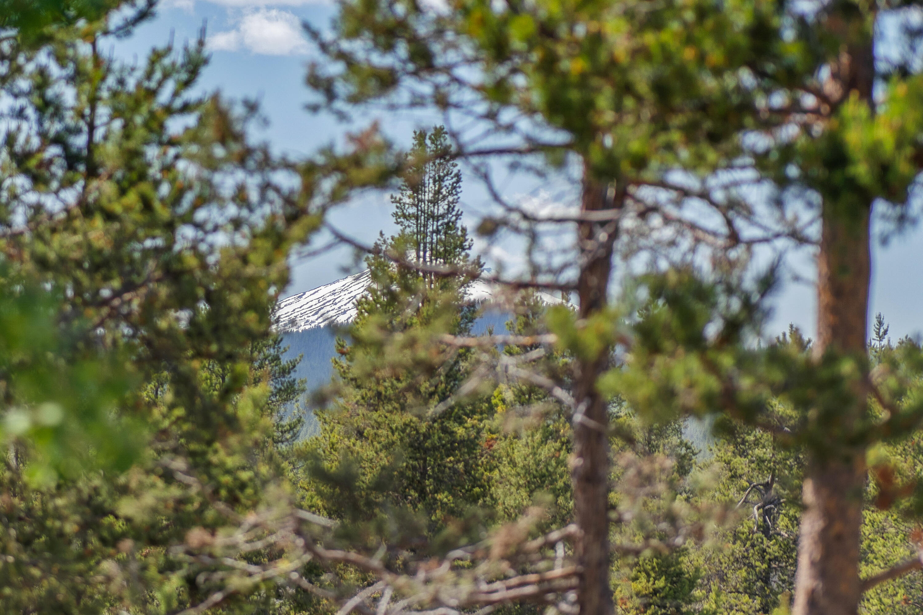 Fairway Crest Village - Residential