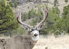 Crooked River Ranch - Residential