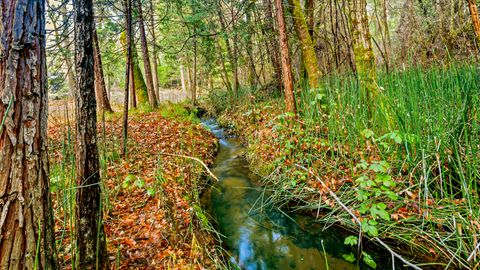 Tiny photo for 5370 Caves Highway, Cave Junction, OR 97523 (MLS # 220213930)