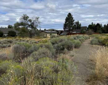 Westbrook Village - Land