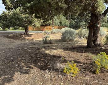 Westbrook Village - Land