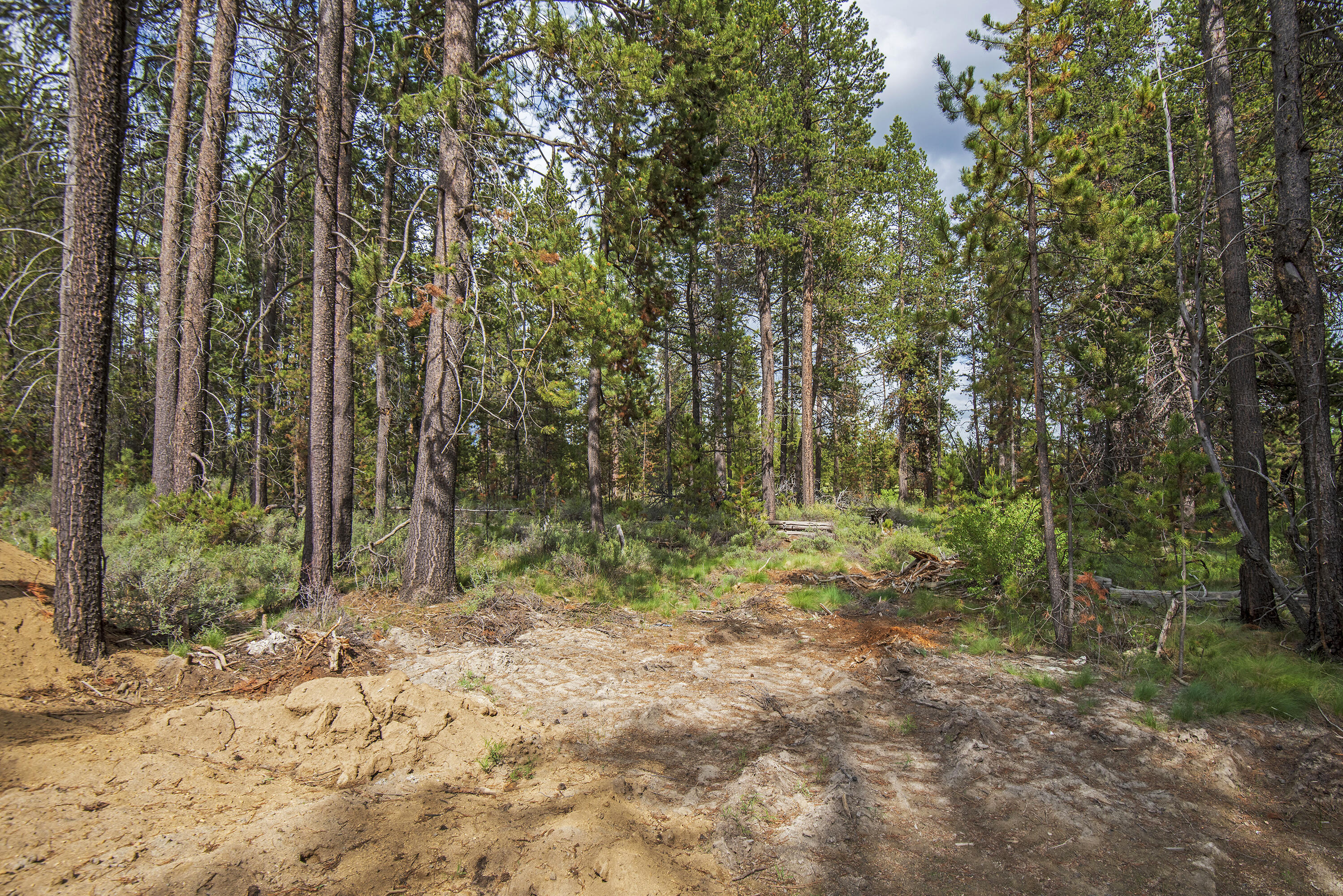 Lazy River - Residential