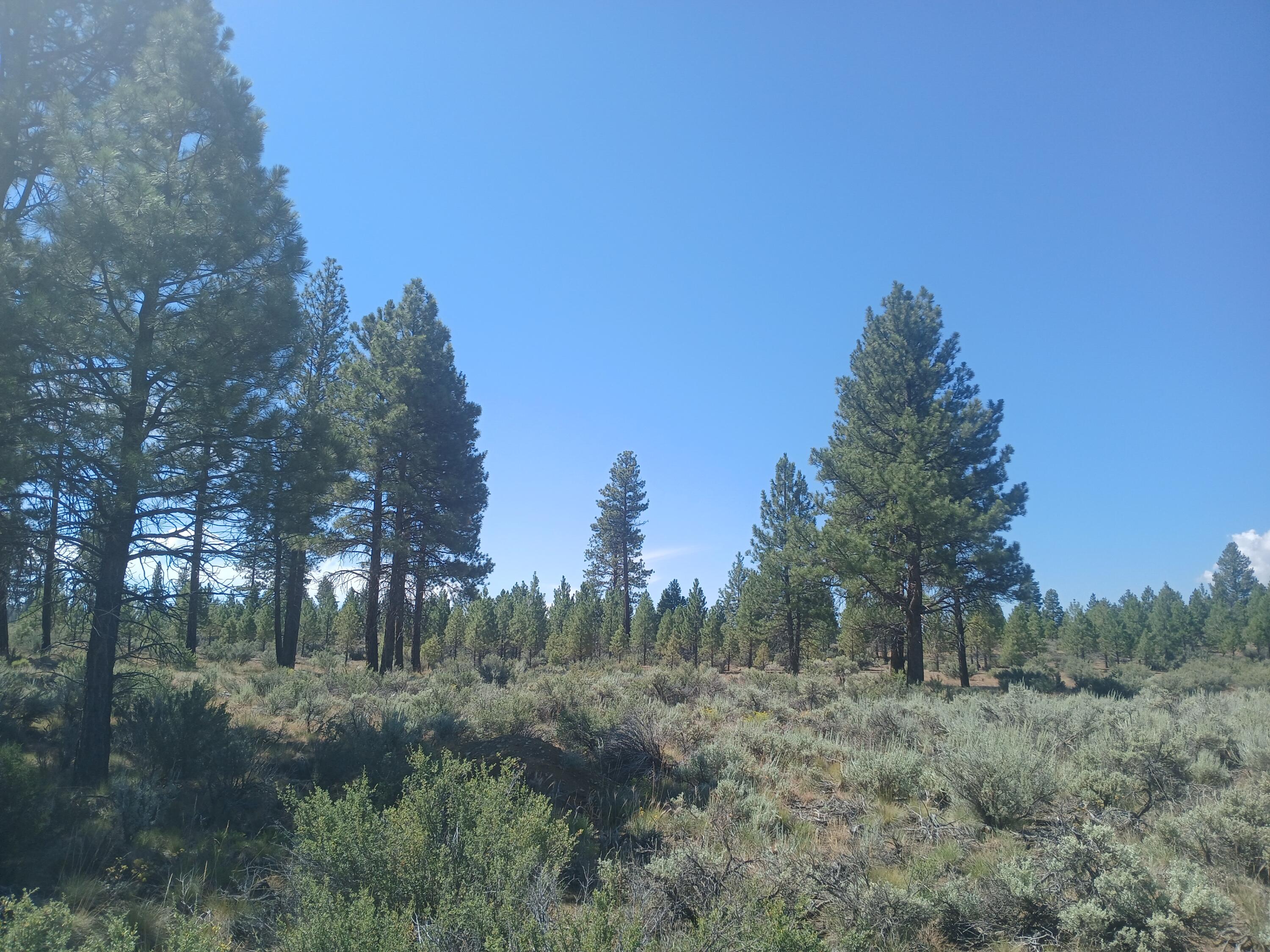 Klamath Forest Estates - Land