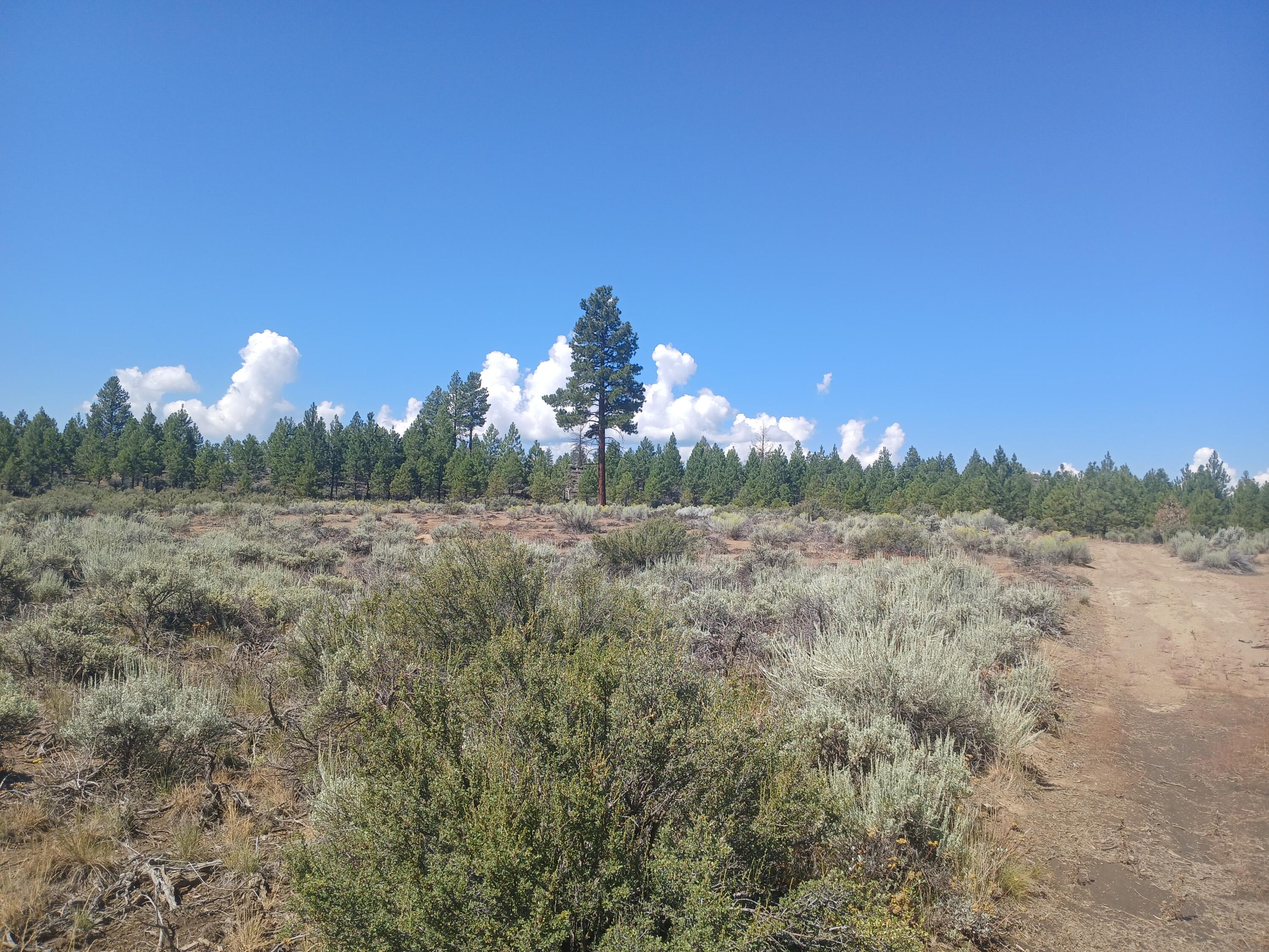 Klamath Forest Estates - Land
