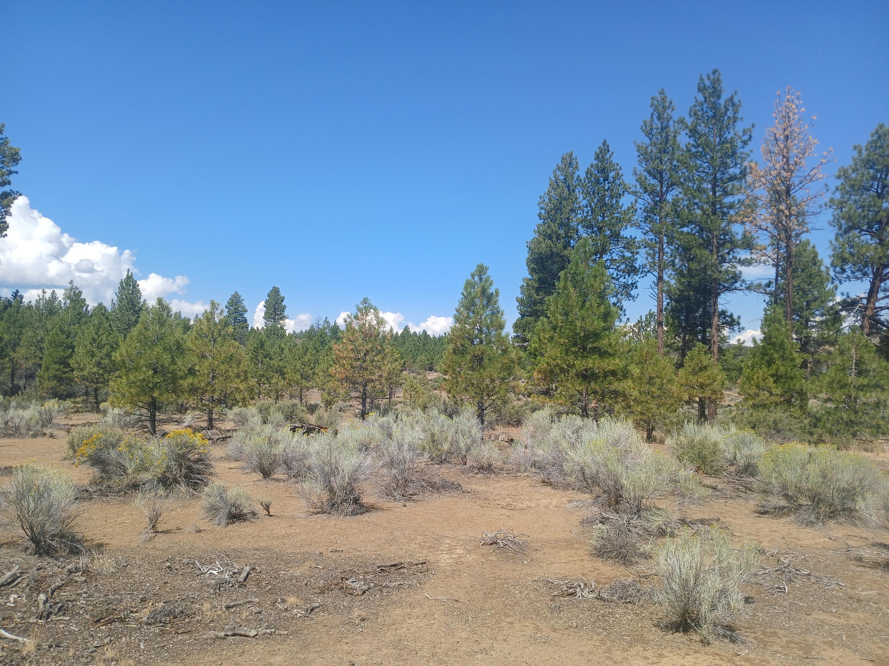 Klamath Forest Estates - Land