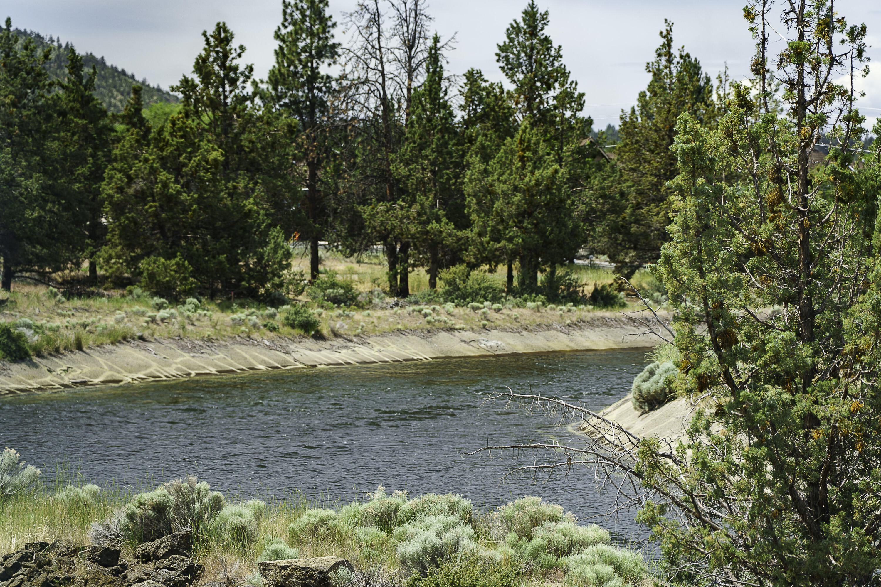 Petrosa - Residential