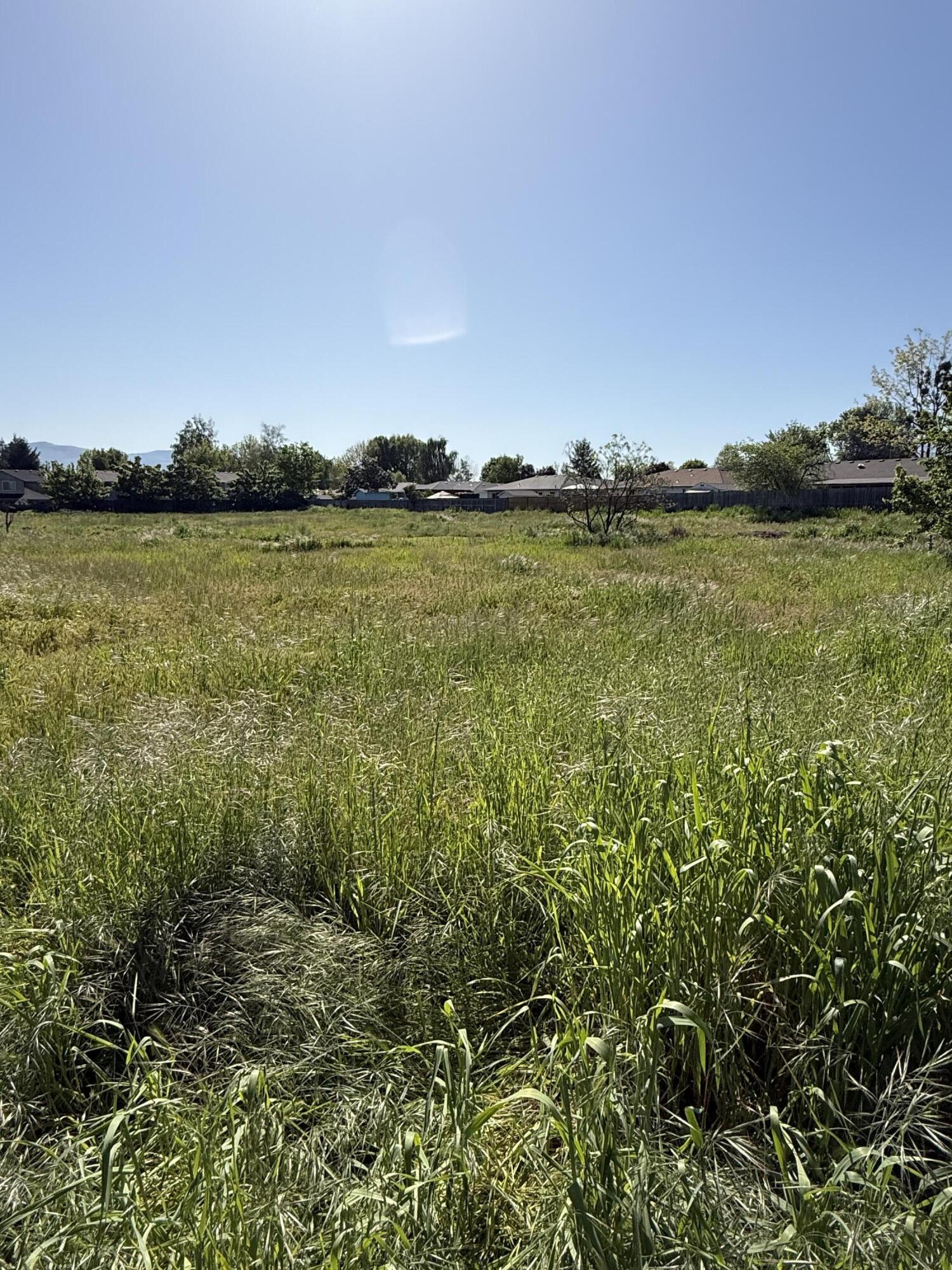 1479 Orchard Home Drive