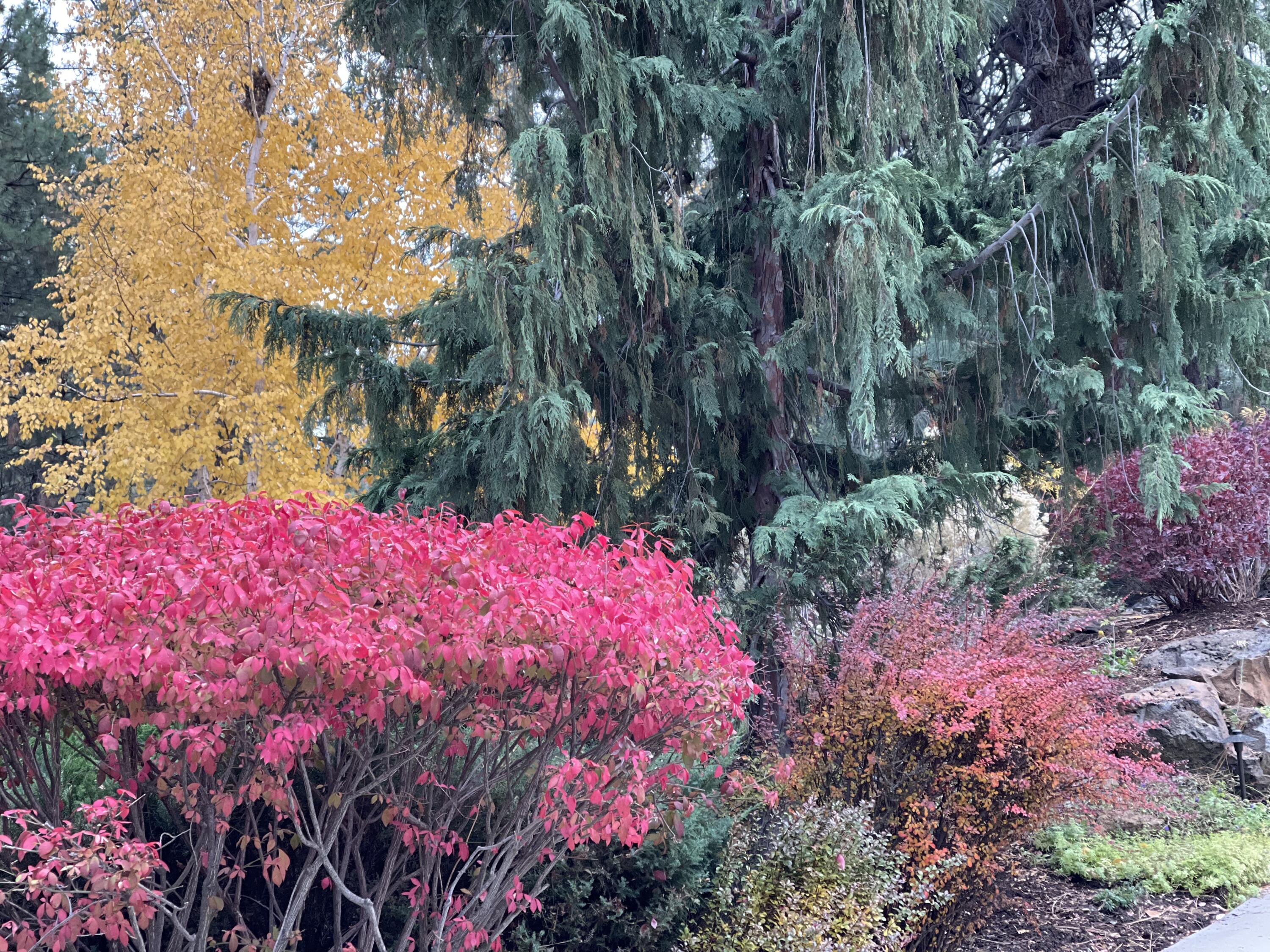 Mtn High - Residential