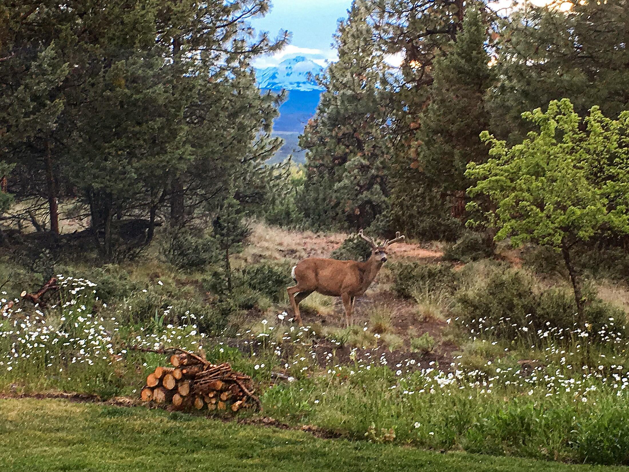 Awbrey Butte - Residential