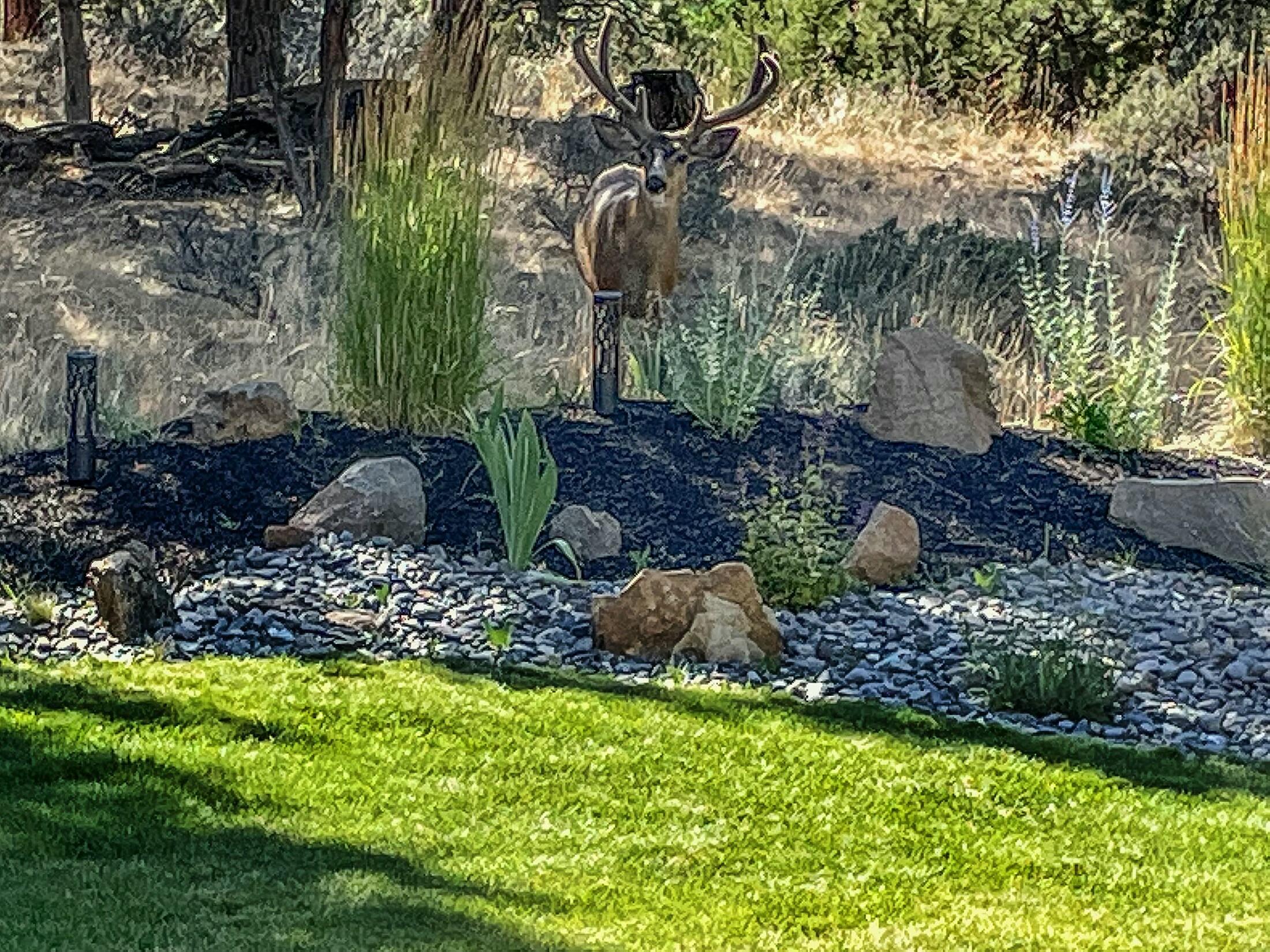 Awbrey Butte - Residential
