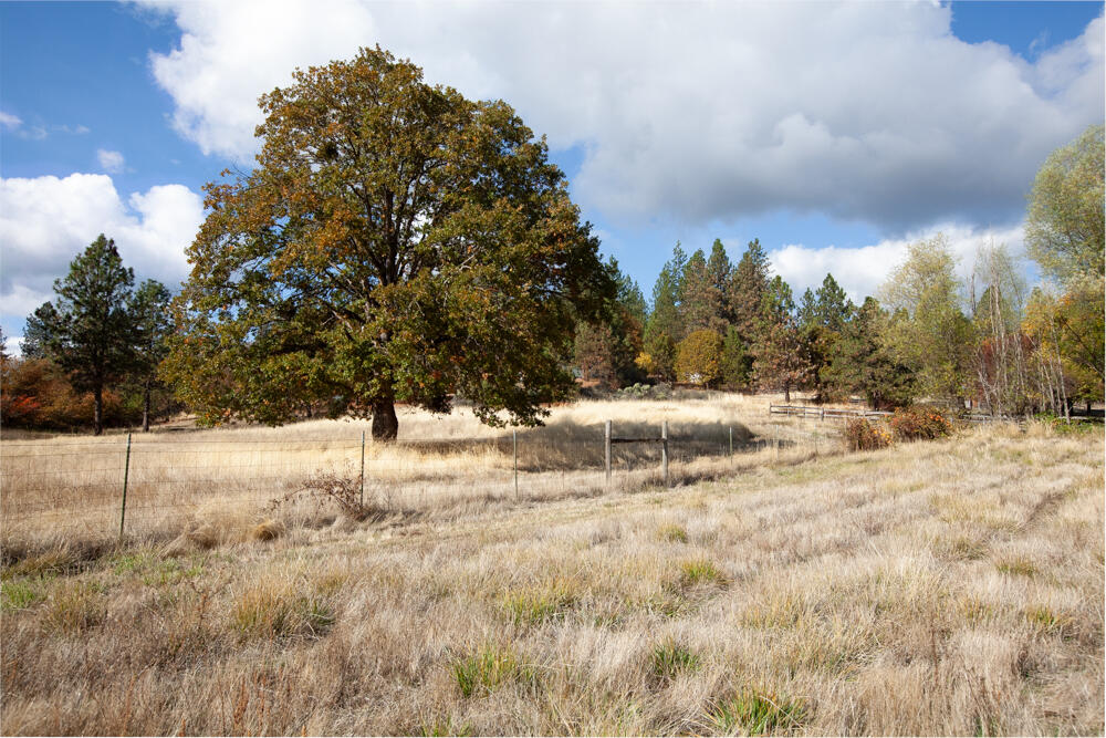 Three Pines Fruit Tracts - Residential