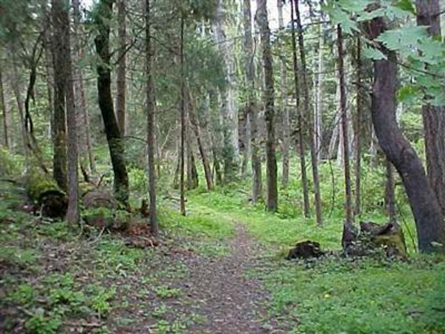 Crk Has Run Yr Rnd At Least For The Last Few Yrs. Value Is In The Impvd Land Value Plus 26x44 General Purpose (Rv Barn) Bldg W/Loft Stor Plus 14x24 Stor Bldg. Well Was 30 Gpm The Last Time Tstd. To Be Bought In as-in Cond. Wall Hp Unit About 2yr Old