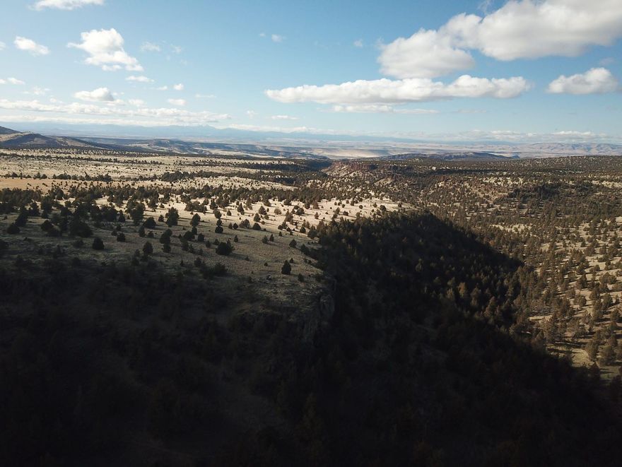 1,420± contiguous acres of outstanding hunting in a remote and private location just outside of Ashwood, Oregon. This slice of heaven was used hundreds of years ago as a base camp for the Native Americans. A large cave in the massive rimrock overlooking Pine Creek served as a main camp for the local Indian hunters. Accessed by a maintained county road, this great hunting and grazing property features jaw dropping Cascade Mountain views, incredible sunrise and sunsets and an excellent local population of mule deer, Rocky Mountain elk and antelope. The wildlife find this a favorite place to frequent as a natural spring, canyon meadow and broken rimrocks offer the ideal habitat for these trophy big game animals. This property includes 3 land owner preference tags for buck deer and bull elk (buyer to confirm with ODFW). The location, in the highly sought after Central Oregon, is pretty convenient, too! Just 150± miles from Portland or only an hour drive from the Redmond Airport.