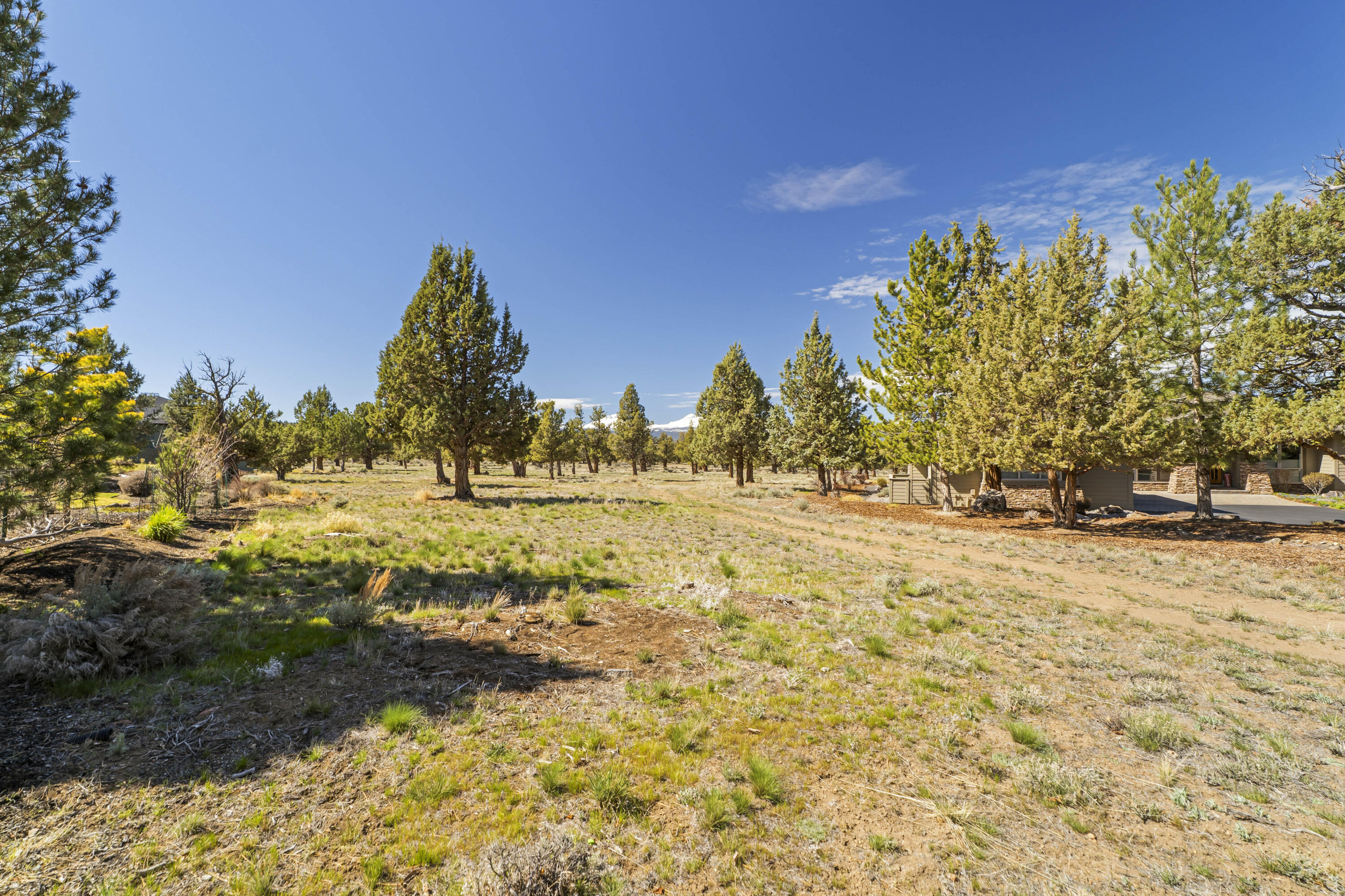 1261 Trail Creek Drive