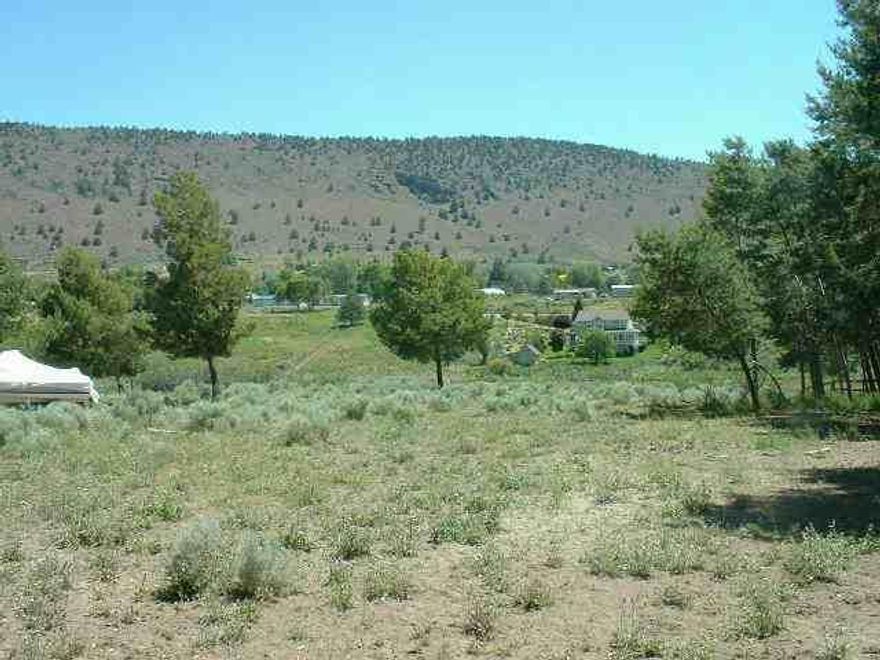 Great Homesite In Pinegrove. Approx. 900 Ft.Domestic Well. Nice Lot W/Trees, K.B.I.D. Through Pinegrove Irrg Dist. Shared Pump For Irrigation. Don't Let Horses Out. Standard Dlq Approval To Be Verified.