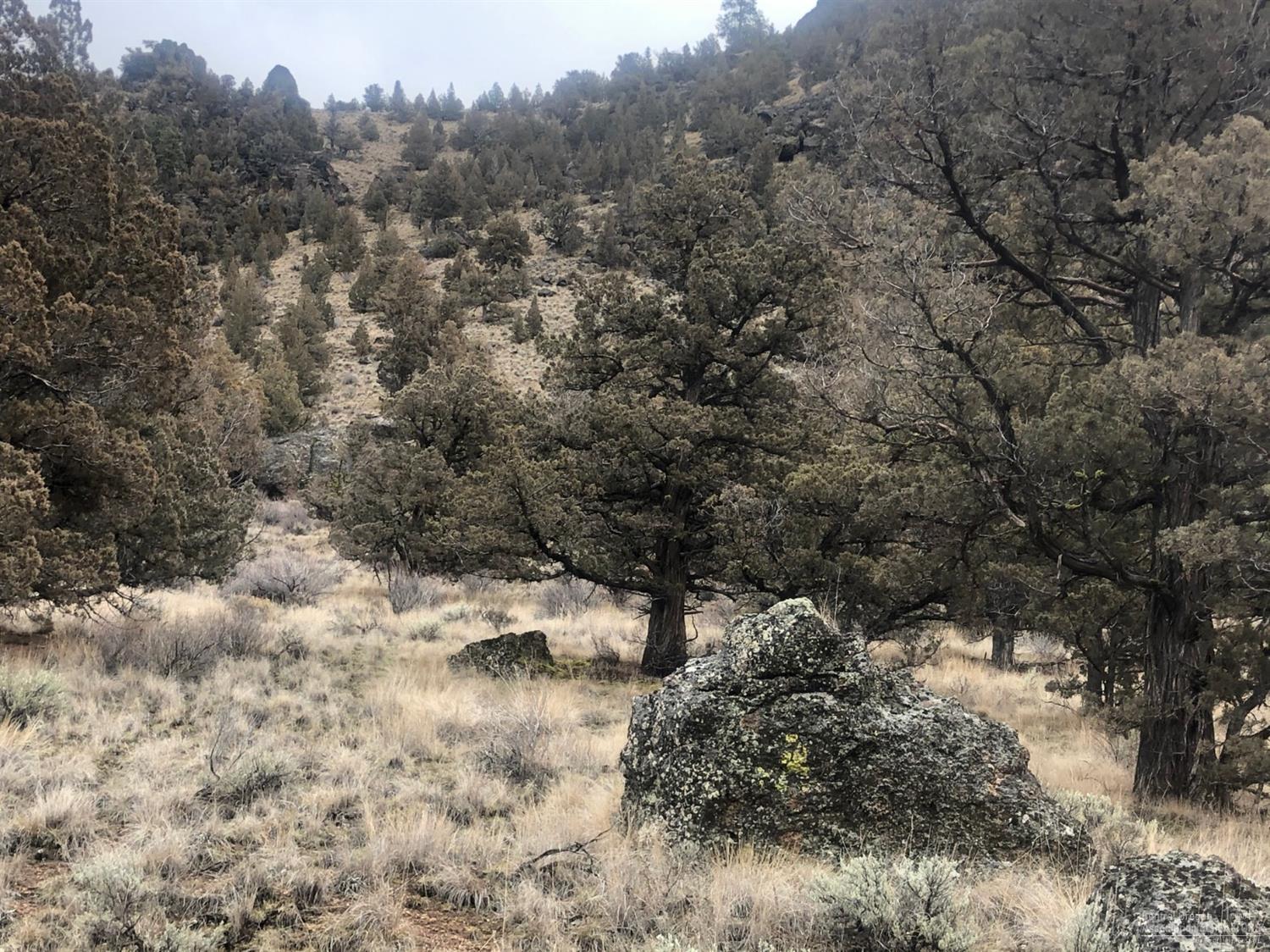 Juniper Hills - Land