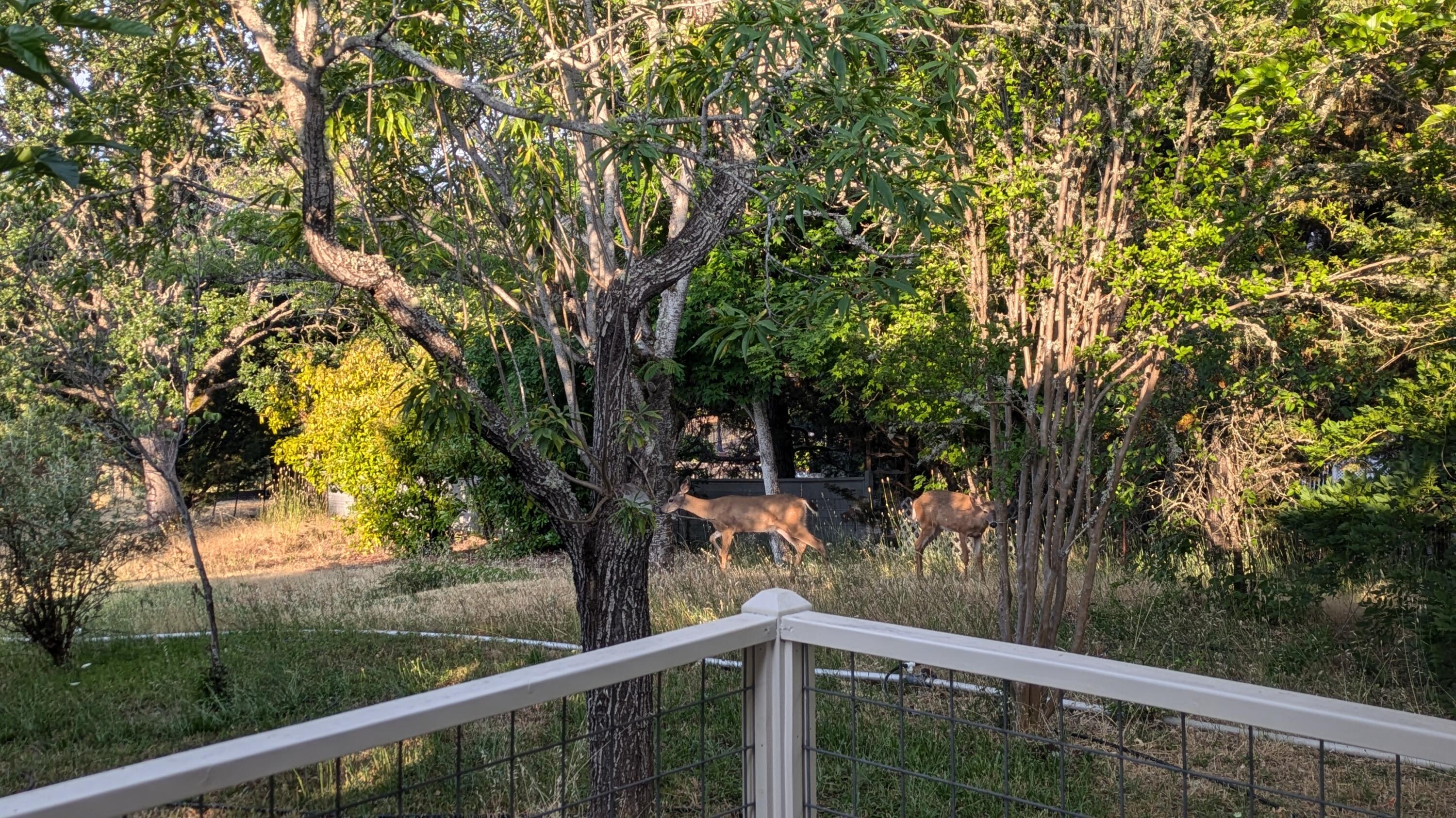 Valley Rogue Highland Estates - Residential