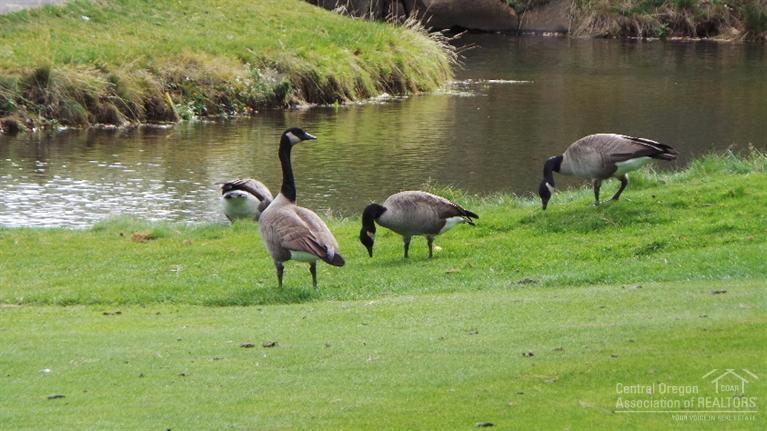 Rivers Edge Village - Residential