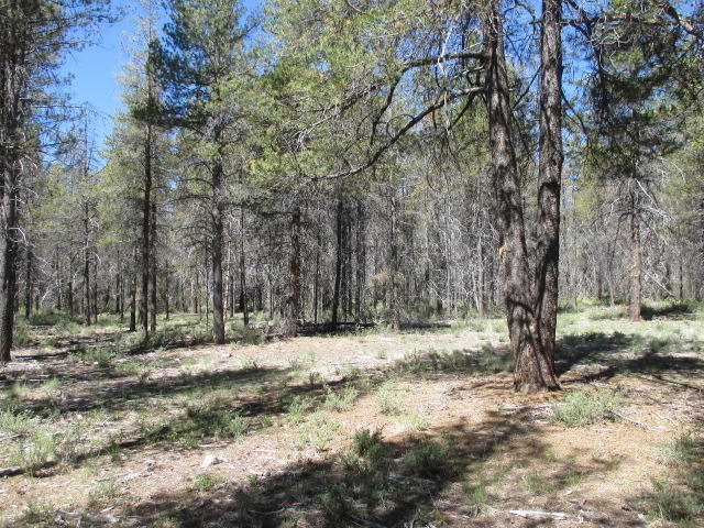 Mt. Scott Meadow - Land