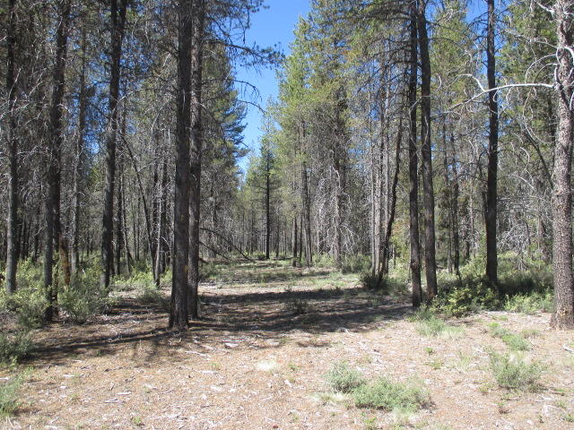 Mt. Scott Meadow - Land