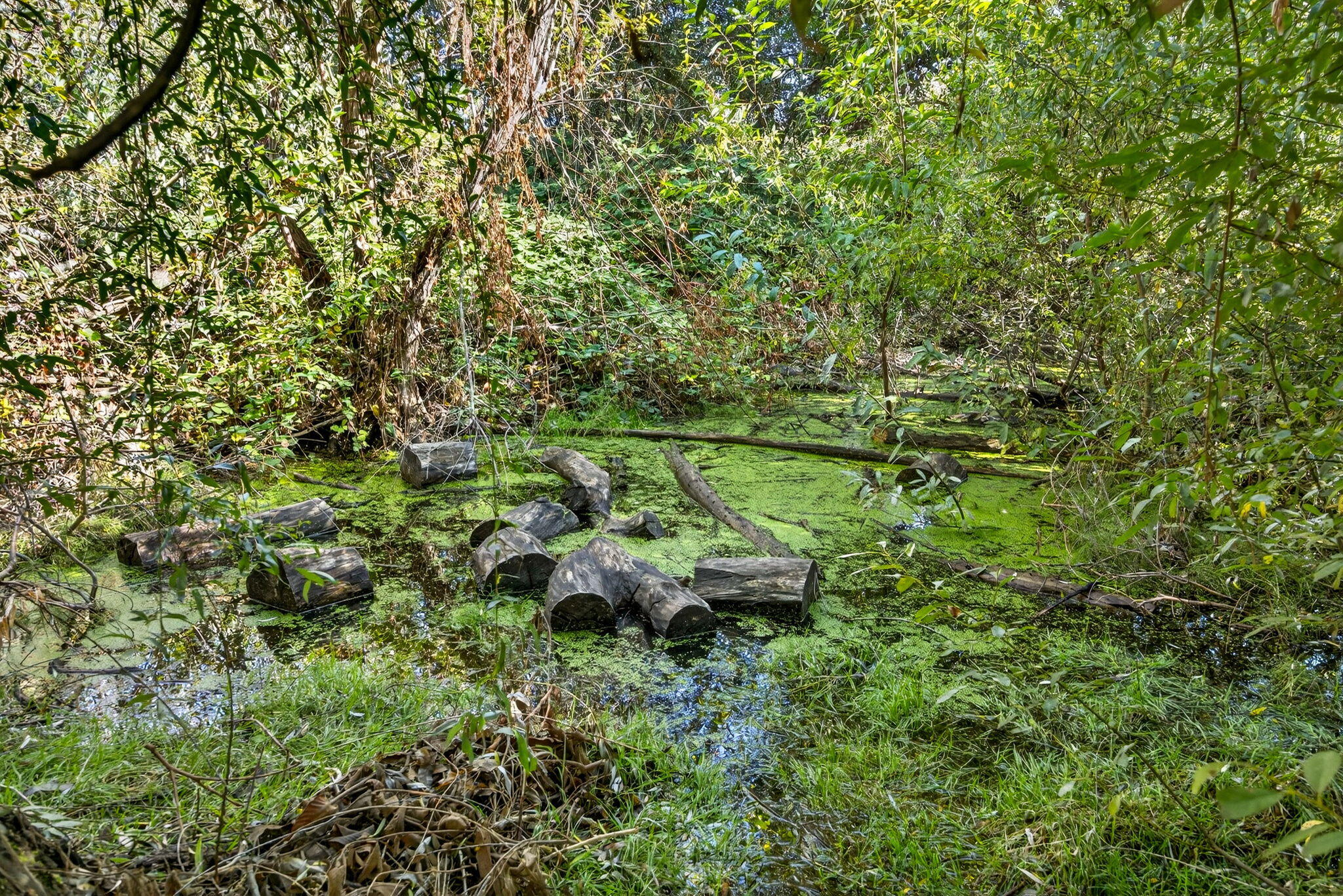 Willow Station APlanned Community - Residential