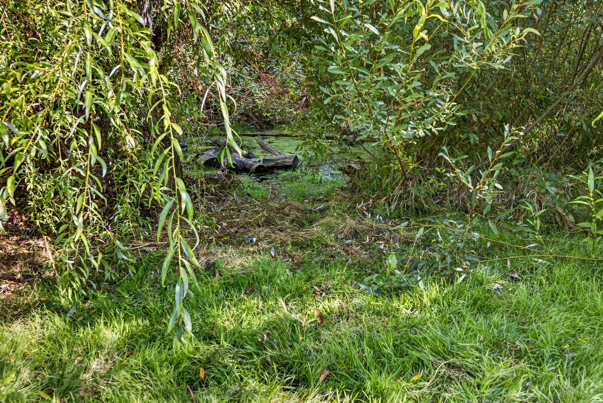 Willow Station APlanned Community - Residential