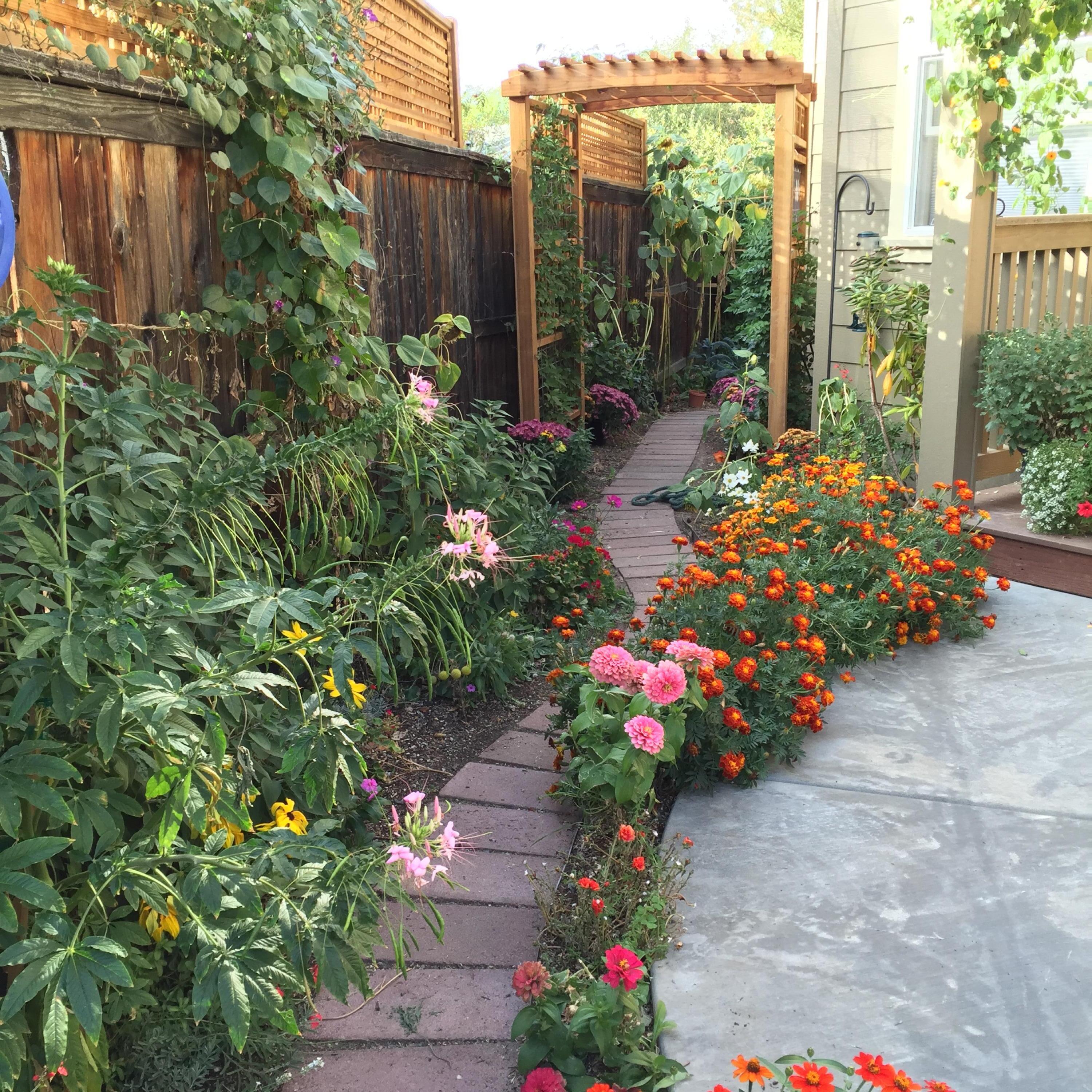 Willow Station APlanned Community - Residential