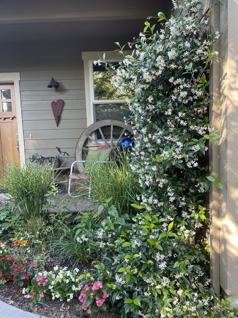 Tiny photo for 169 Wagner Butte Avenue, Talent, OR 97540 (MLS # 220210898)