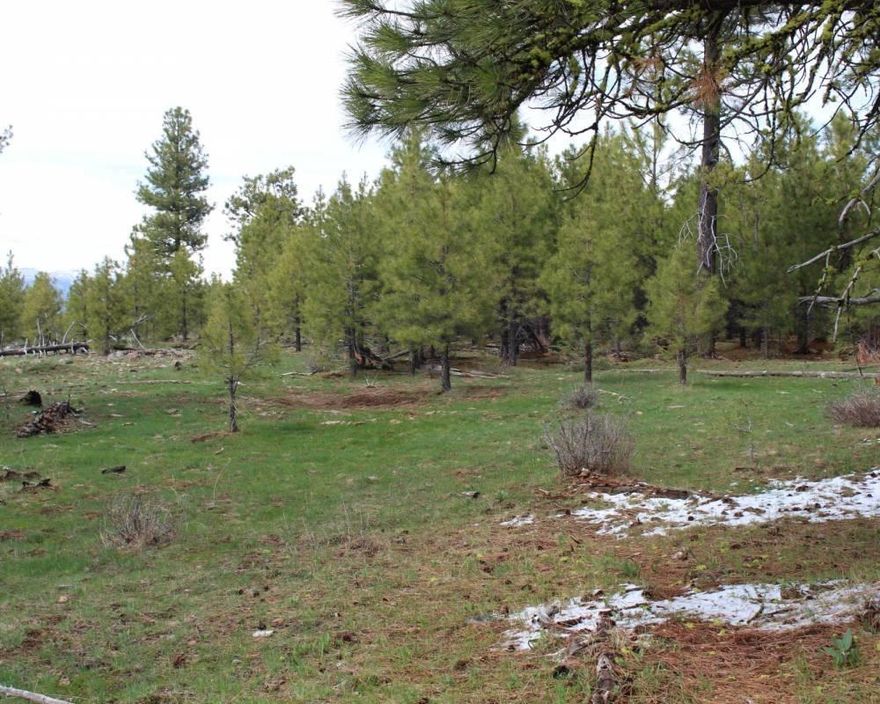Just south of Hwy 140 at Quartz Mtn. Pass between Bly and Lakeview. Hunting is outstanding for Big Mule Deer, Rocky Mtn. Elk, Pronghorn, bear, predators and turkeys. Land could qualify for LOP Tags (Land Owner Preference Tags) 2 bucks, 2 bulls. Buyer to contact ODFW for particulars. Great location for your family cabin or RVing. Property elevation form 5600' to 6060' and  surrounded by Fremont National Forest. Please call your favorite REALTOR for a viewing appointment.