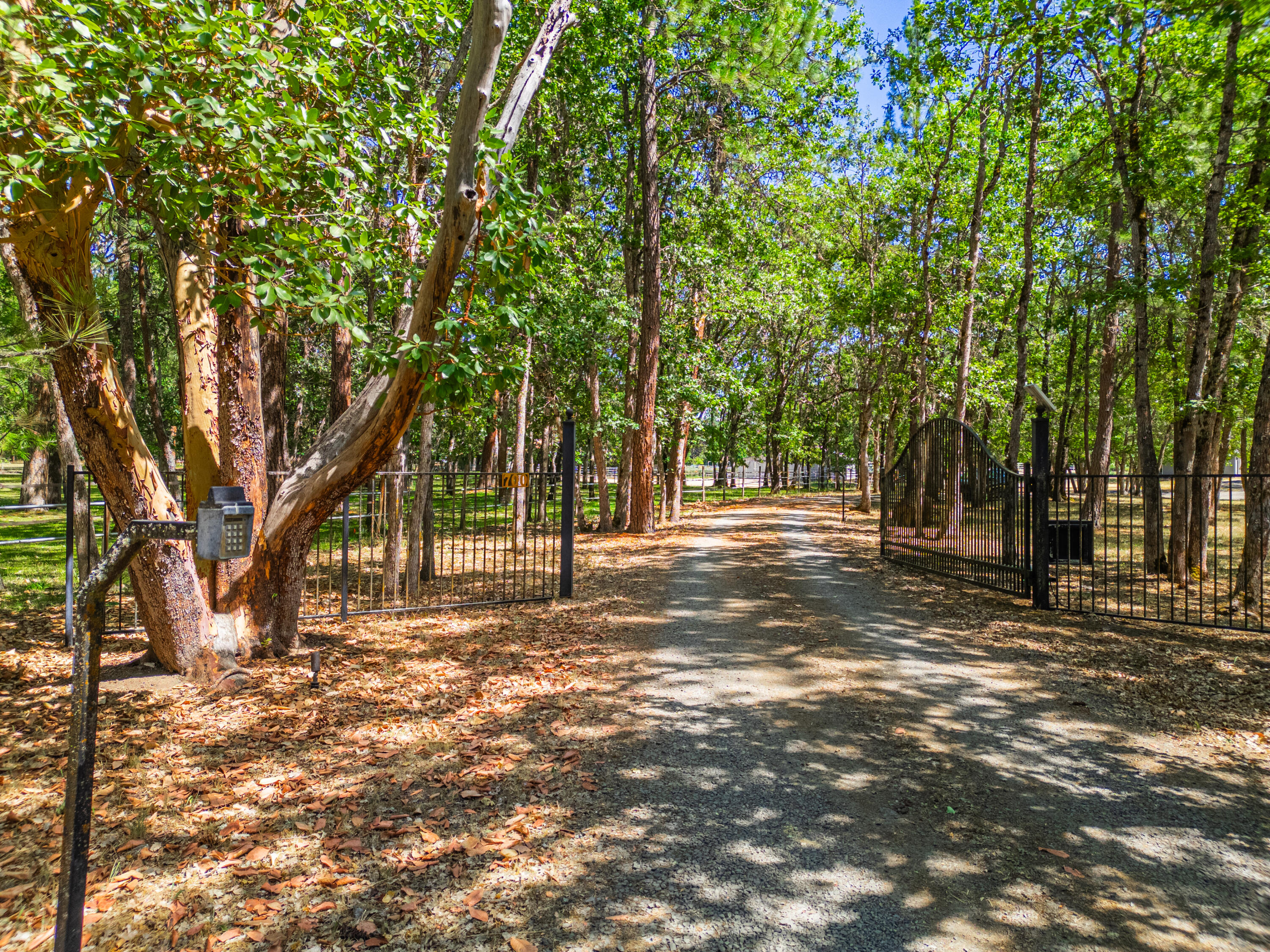 Roguewoods Estates Subdivision - Residential