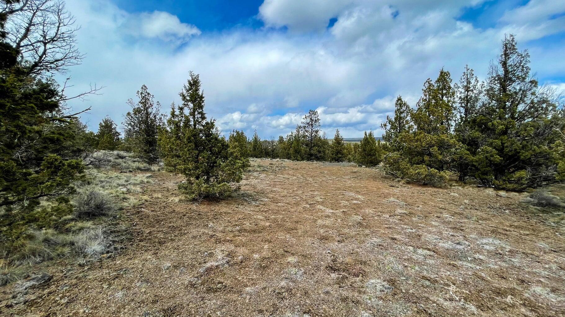 Prineville Lake Acres 1 - Land