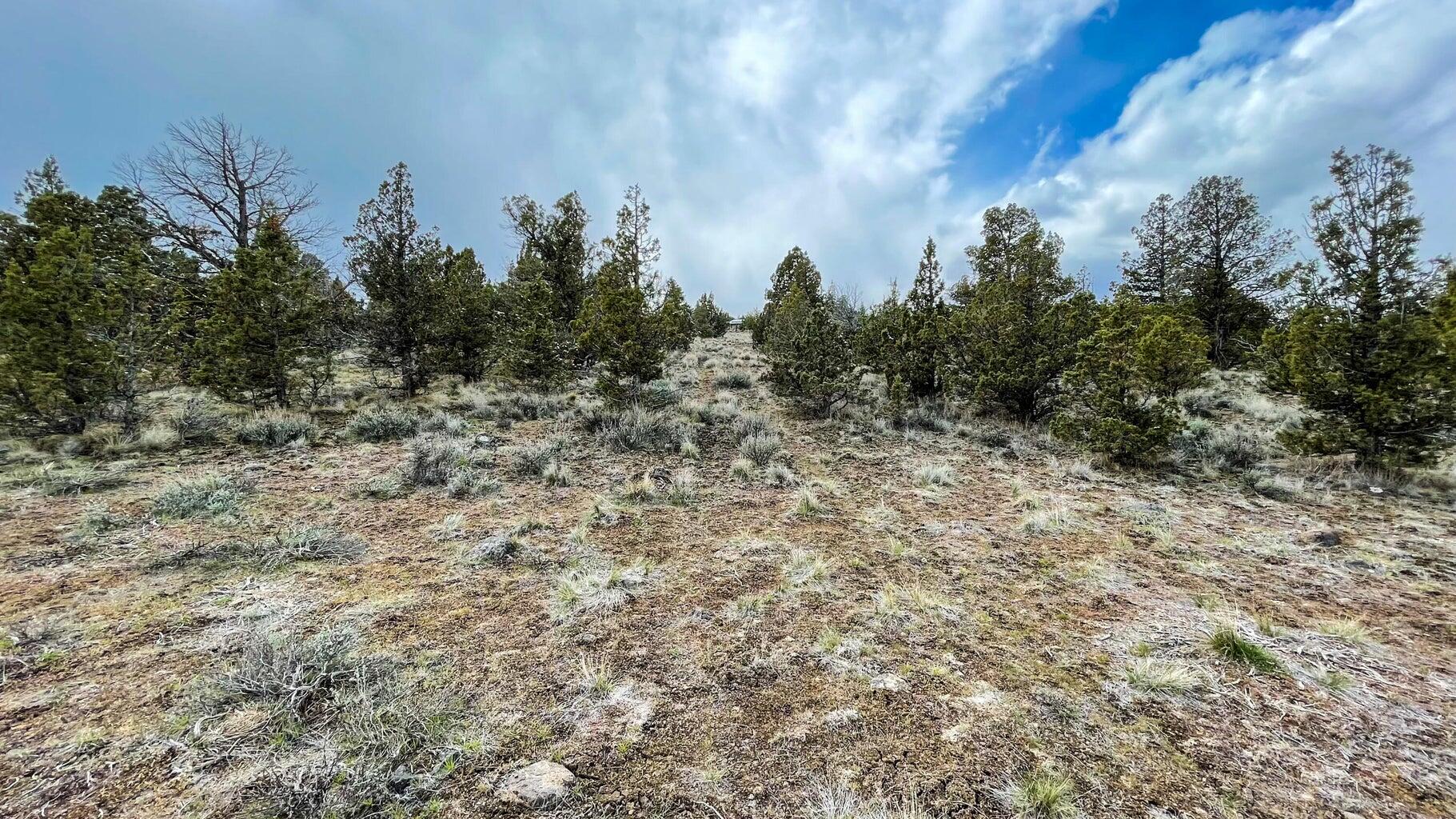 Prineville Lake Acres 1 - Land