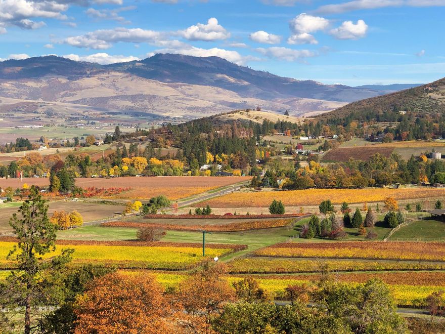 Views. Privacy. Location. High in the Talent hills overlooking the Wagner Creek Valley, sits this wonderful Chalet-style home with stunning views in all directions, Wagner Butte, Grizzly Peak, Roxyann, vineyards, and orchards. With knotty pine throughout the main level, tall windows inviting natural light & a full wrap around deck, this 3 bedrooms & 2.5 bathrooms home on 12+ acres evokes a rustic mountain lodge. The views cannot be overstated, the privacy makes one feel a world away, yet the convenient location is mere minutes to Ashland or Medford. A daylight basement is ideal for an additional family member or a Mother-In-Law setup. TID water rights on the full 12.3 acres and state of the art irrigation system allow for grapes or a variety of crops. A small Italian plum orchard has produced abundantly for decades, along with many other fruit trees. At the entrance to the property a 4-stall barn and pasture are suitable to horses, cattle, & livestock. Fenced/X-Fenced. Live the dream.