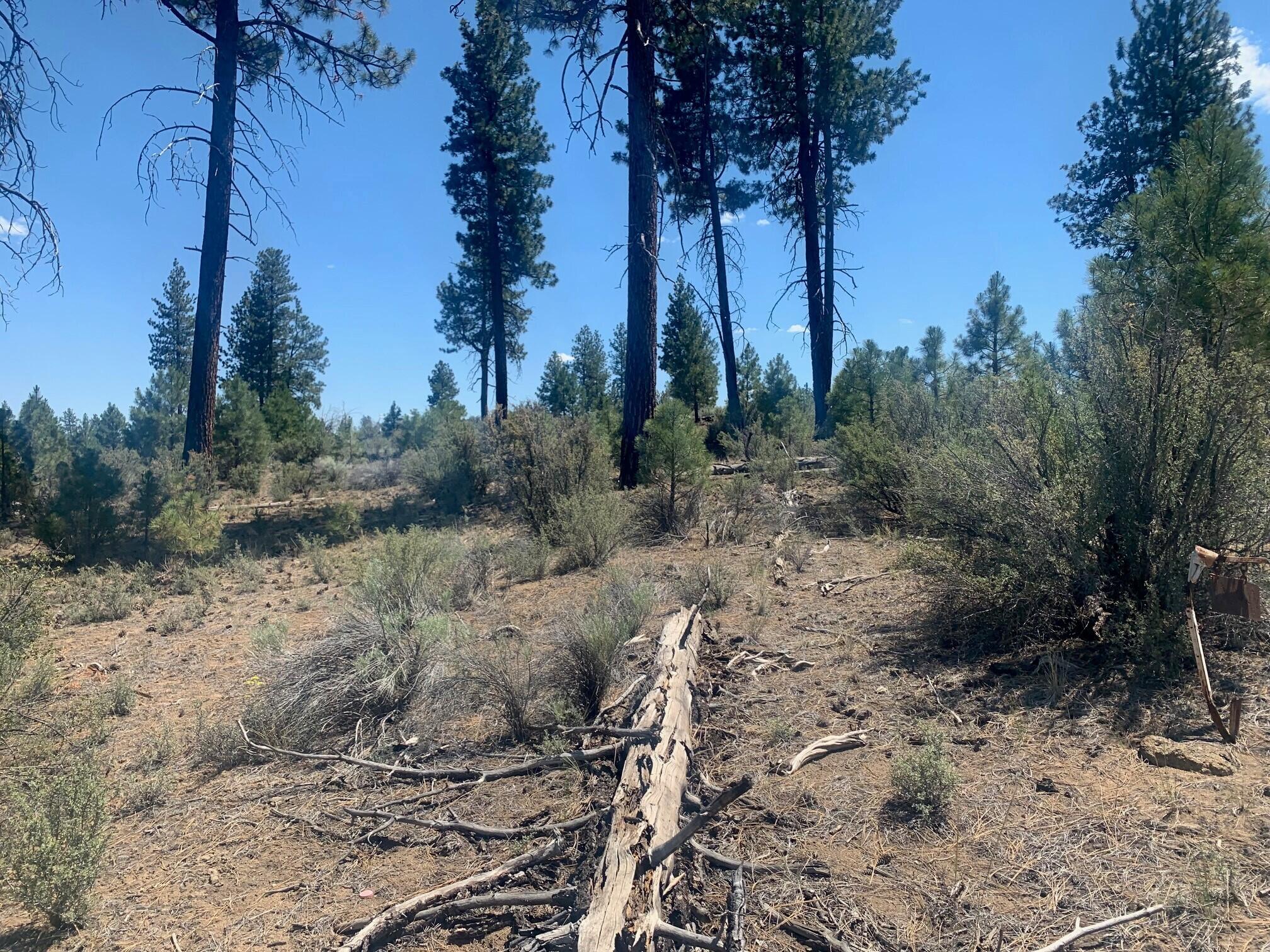 Klamath Forest Estates -First Addition - Land