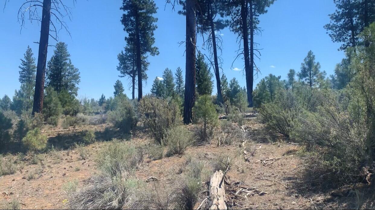 Klamath Forest Estates -First Addition - Land