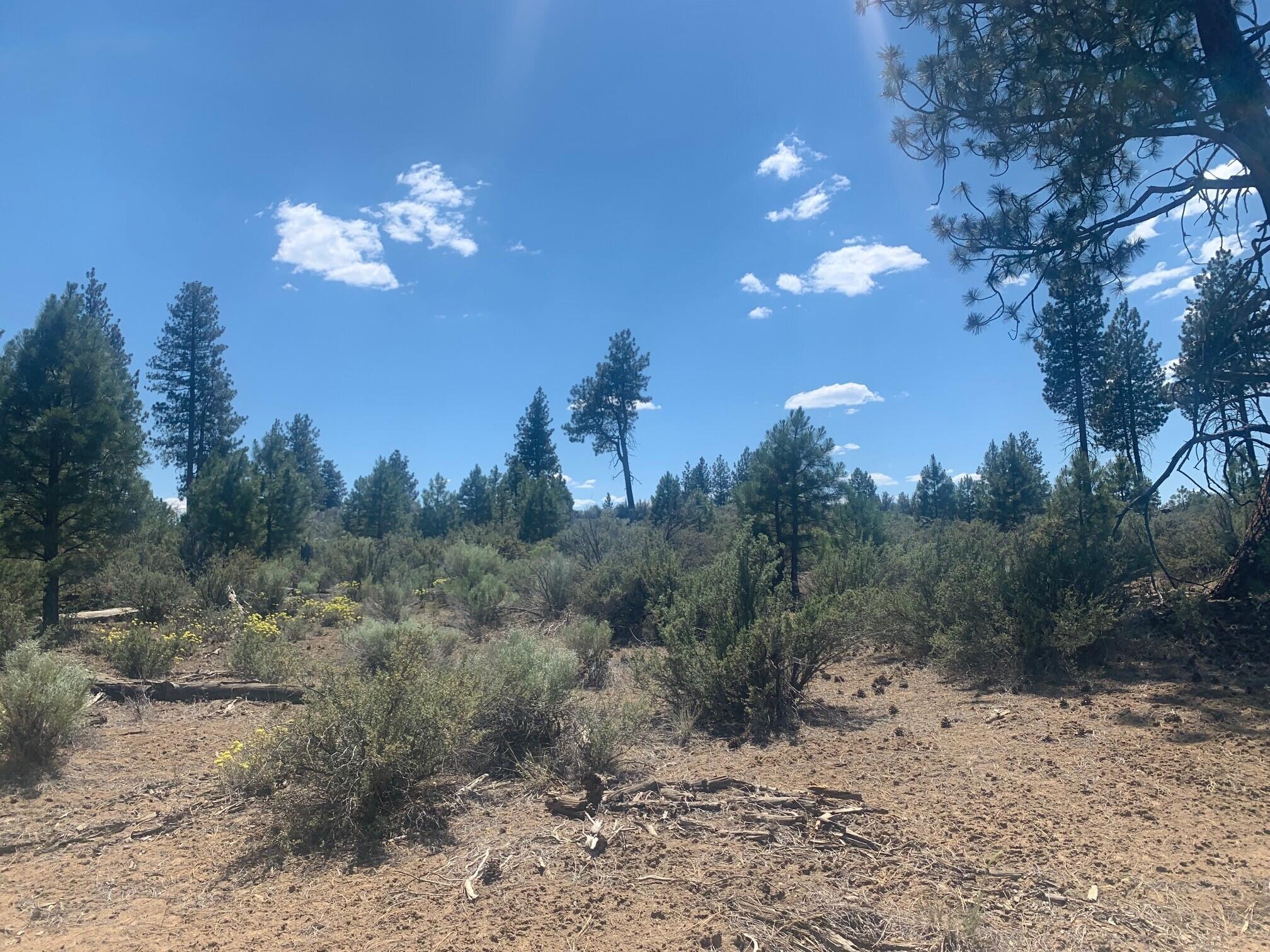 Klamath Forest Estates -First Addition - Land