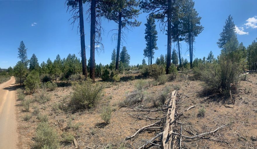 **PRICE REDUCTION**This primitive 2+ acre lot is just a short drive away from the Fremont-Winema National Forest and about an hour from Crater Lake, Klamath Falls and several other outdoor adventures. This property is far from the hustle and bustle of city life and a blank slate for your imagination. Come take a look!

Buyer to do own due diligence on this property including utilities and CC&Rs.