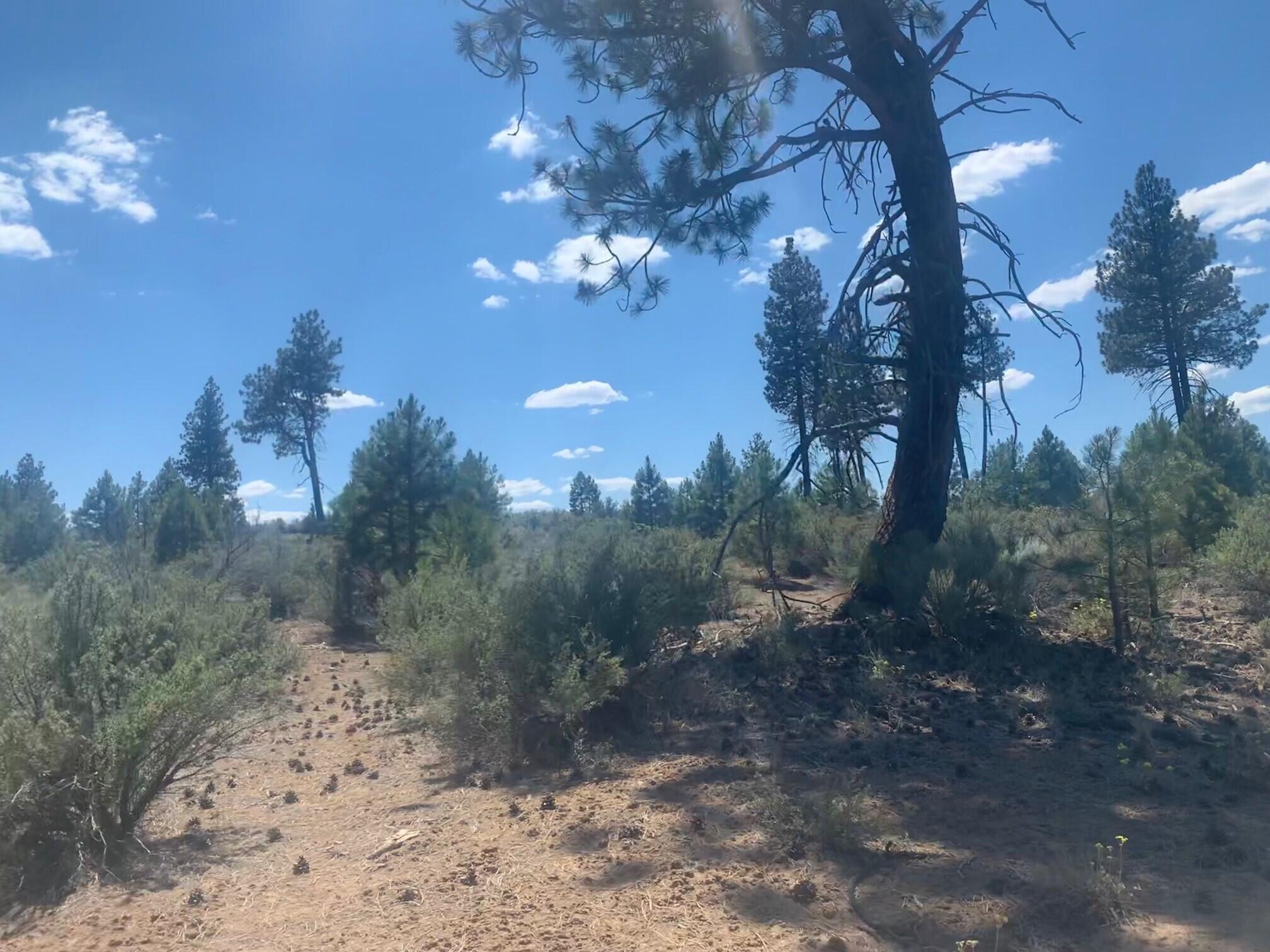 Klamath Forest Estates -First Addition - Land