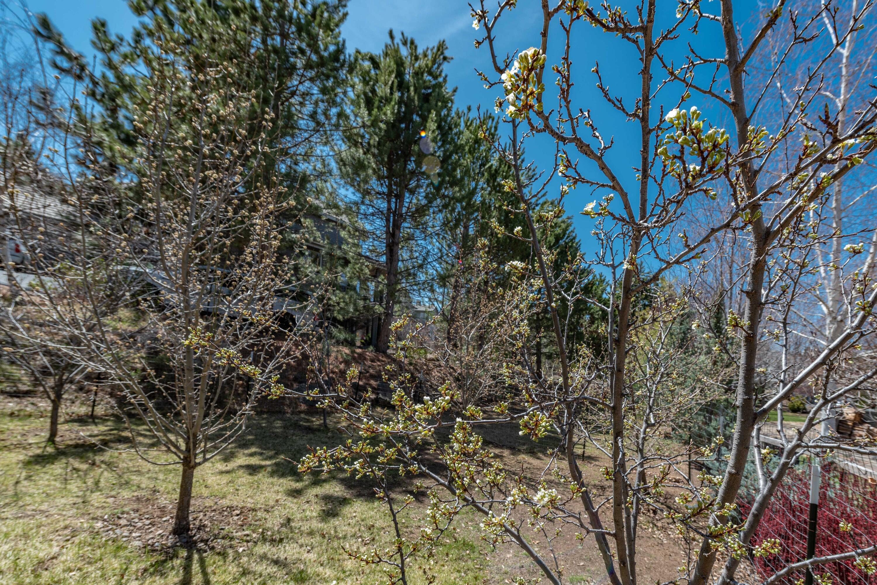 Mtn Gate - Residential