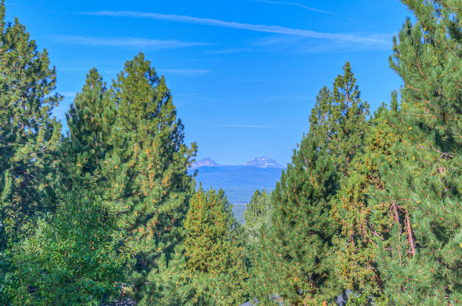 2521 NW Coe Court