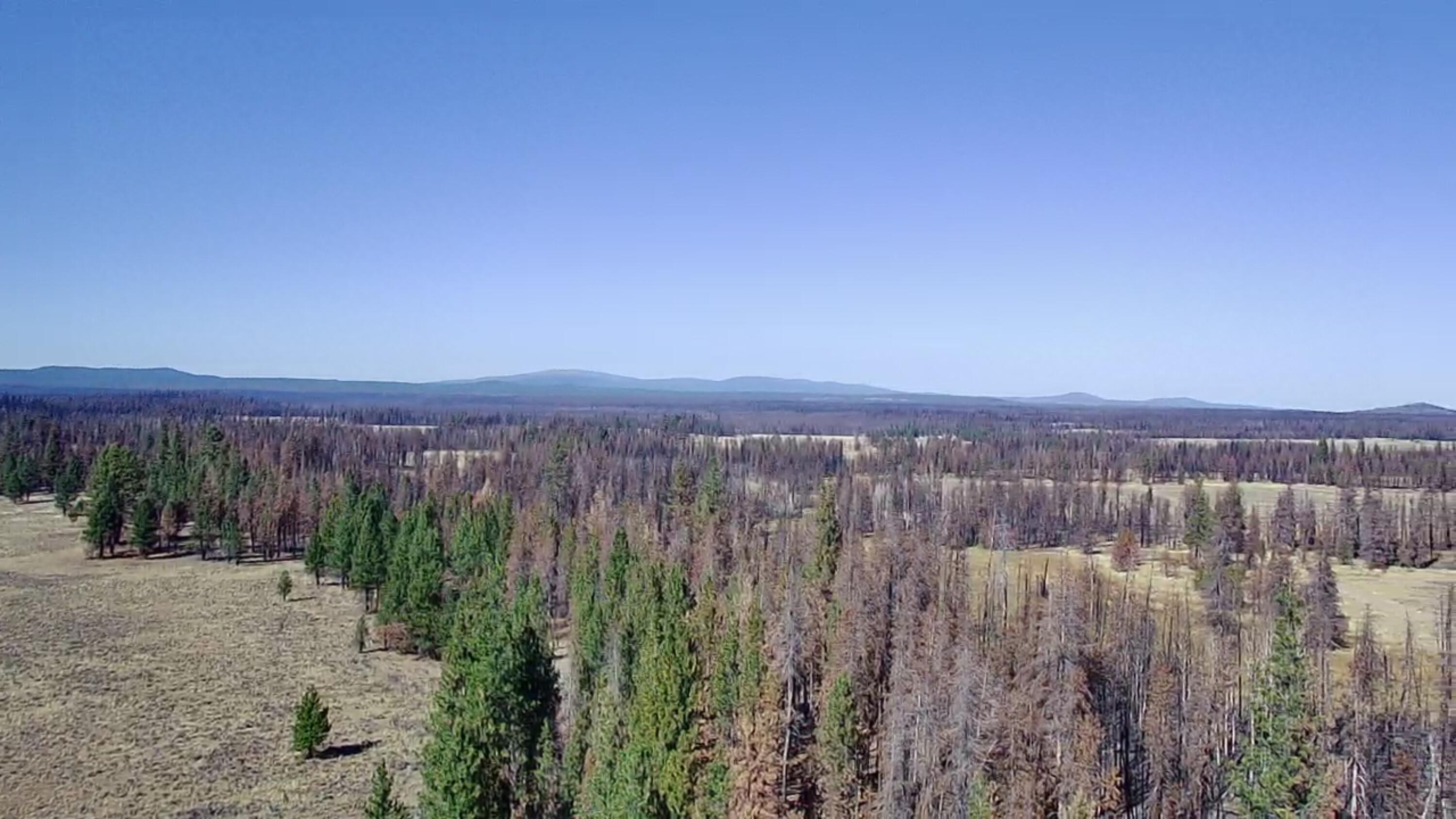 Klamath Falls Forest Estates -Sycan Unit - Land