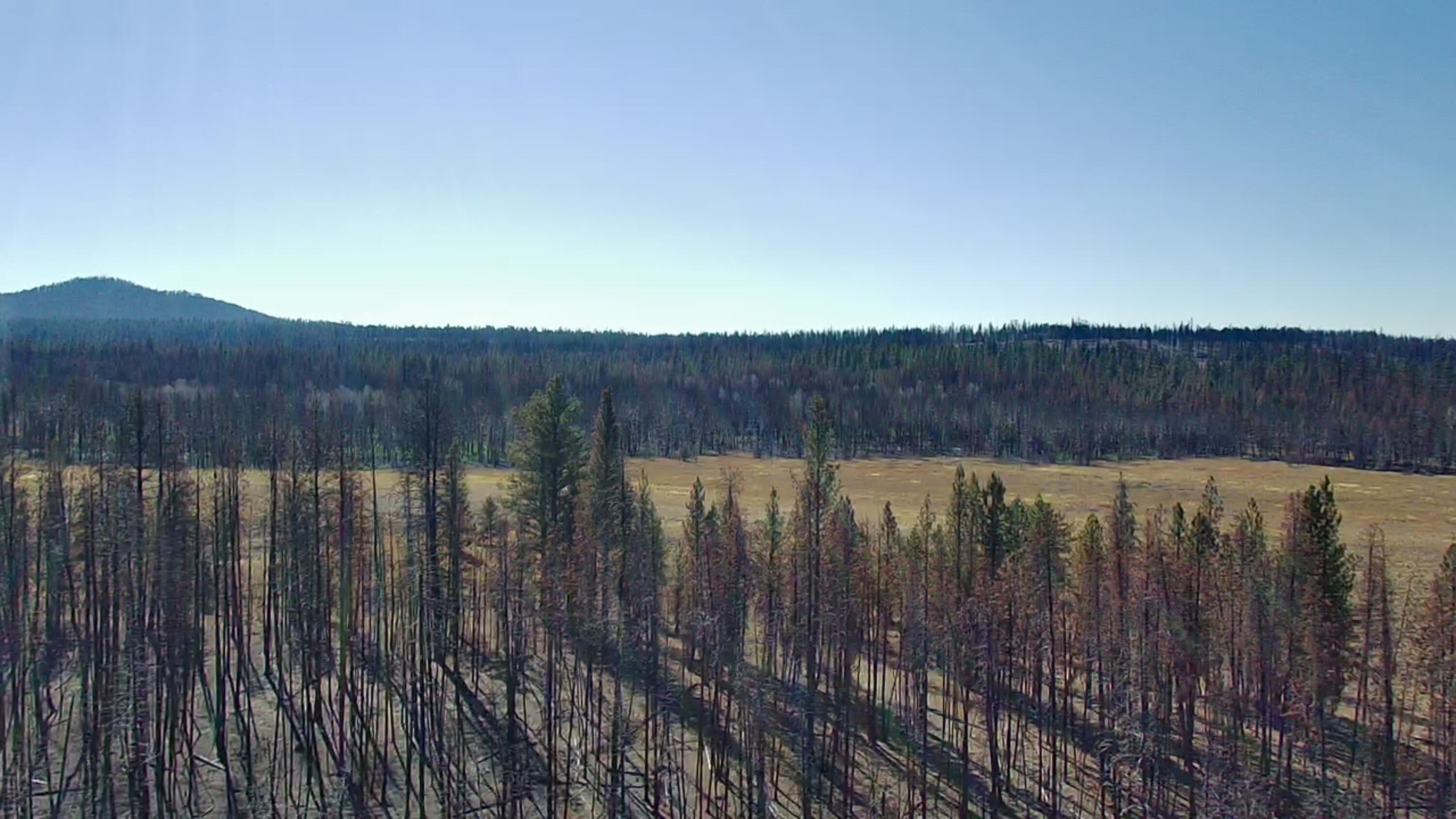 Klamath Falls Forest Estates -Sycan Unit - Land