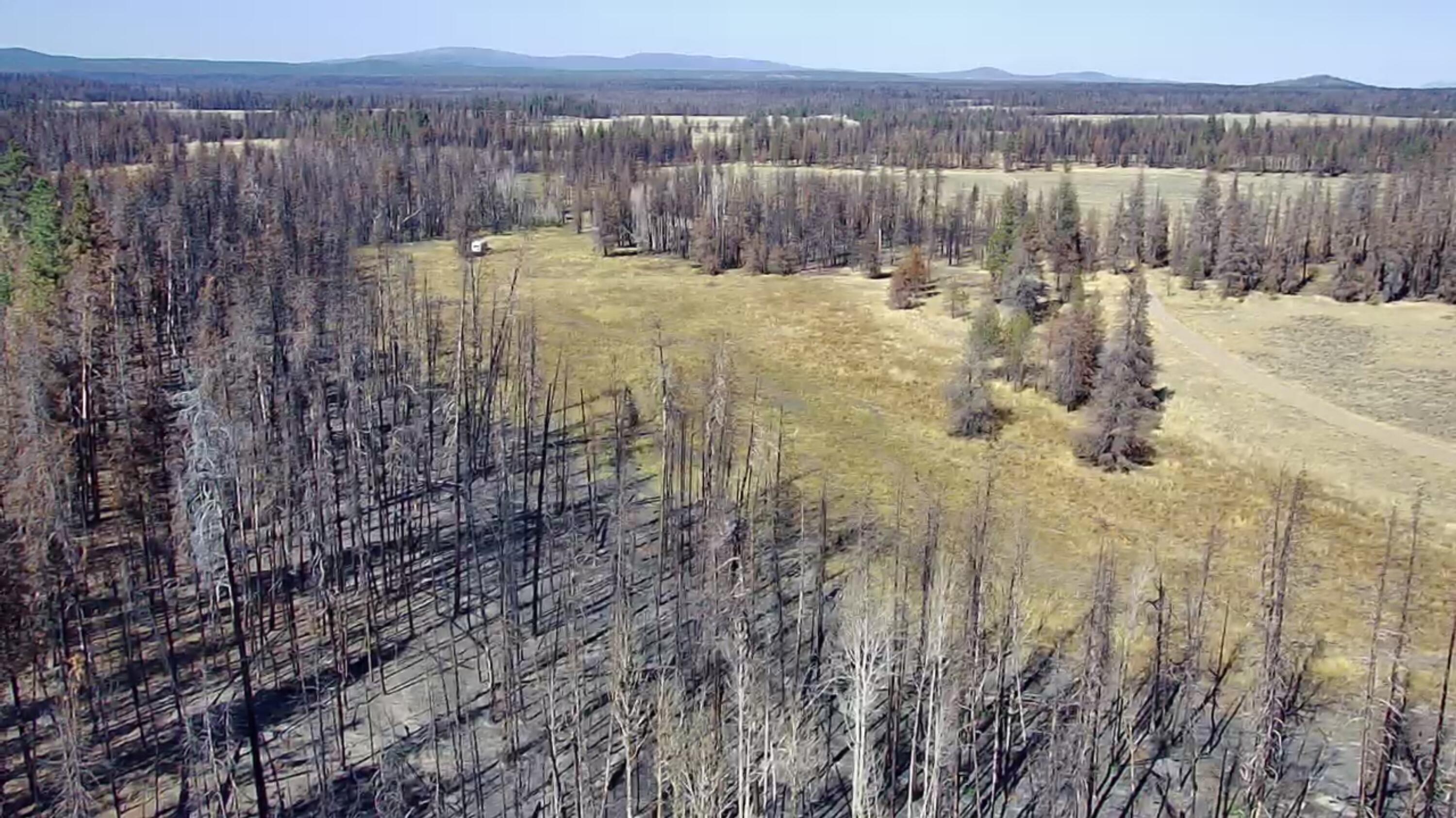Klamath Falls Forest Estates -Sycan Unit - Land